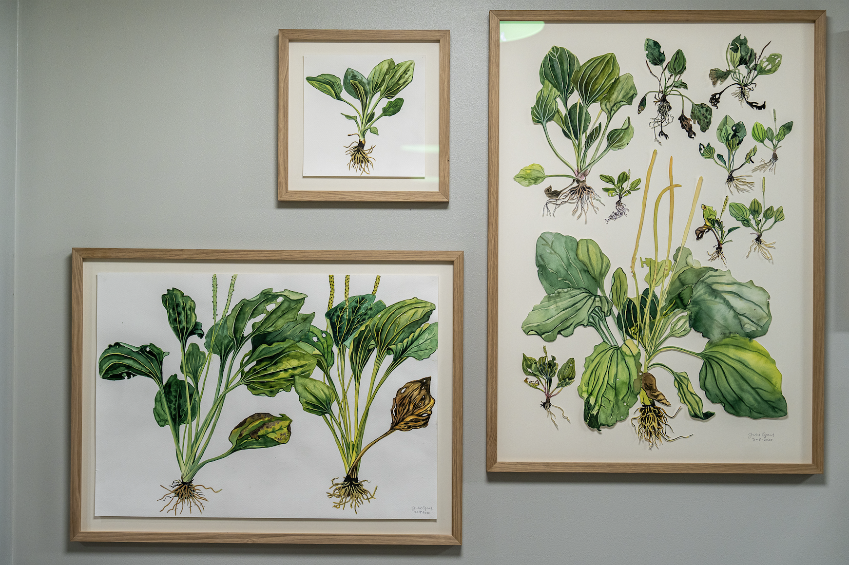 Skjermbilde 2025-12-18 kl. 10.57.27.png