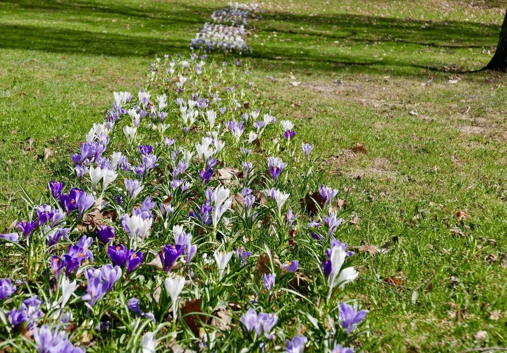 Haugerudbekken - lokalt kunstprosjekt med barn