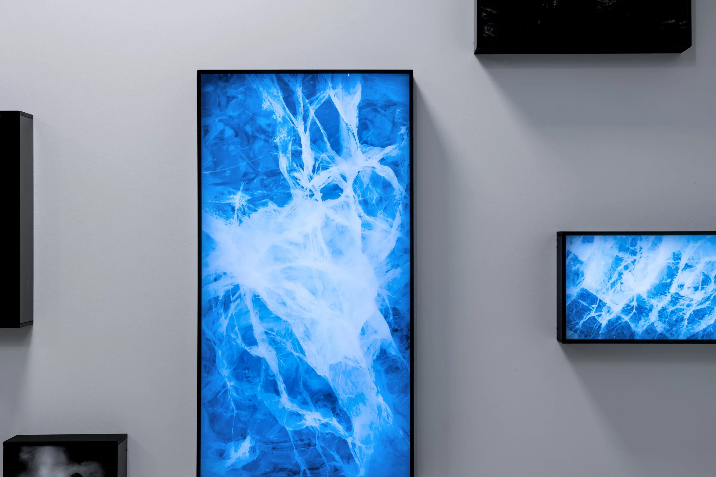 Råkollen-Prestlandet_Jon Gorospe_103-1 copia.jpg