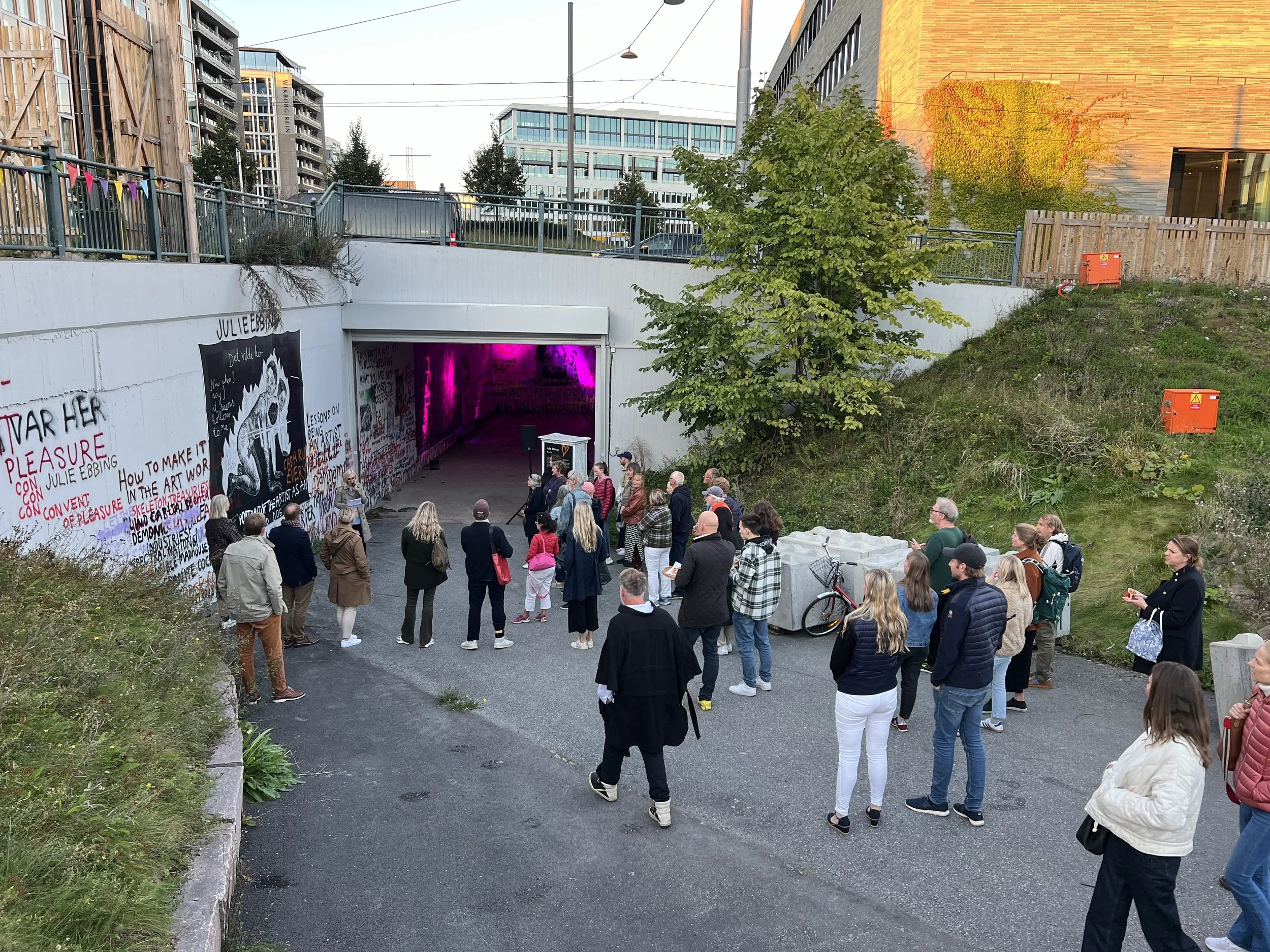 Fra omvisning med Merete Hovdenak under Oslo kulturnatt. Foto: Jon Gorospe