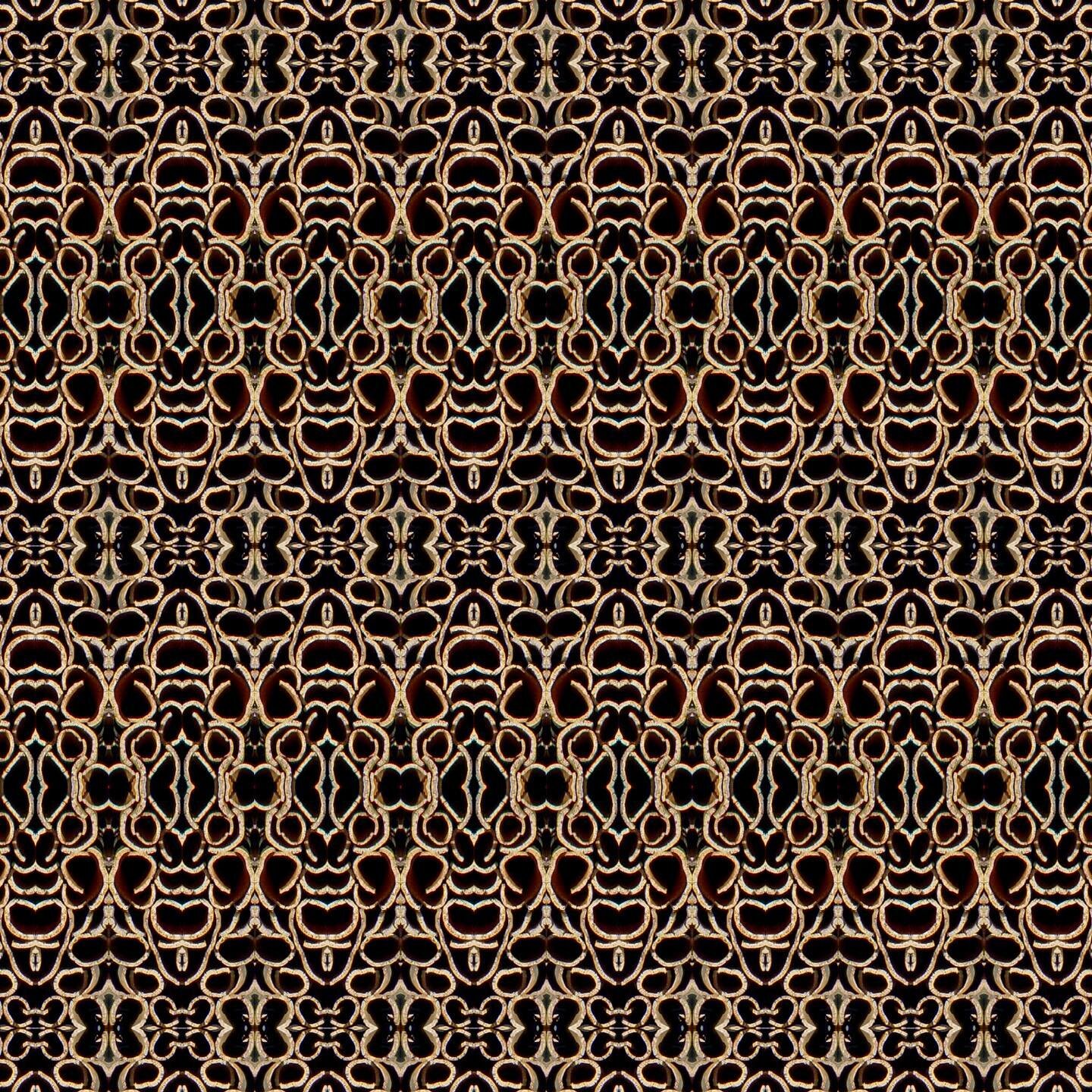 C O R K E R

What a corker indeed! This #pattern my well make your eyes dazzle!! Curls of natural cork form this beautiful if slightly mesmeric design!

#katecledwyndesign #patterndesign #patternsinnature #patterndesigner #licensedtocreate #wallpaper