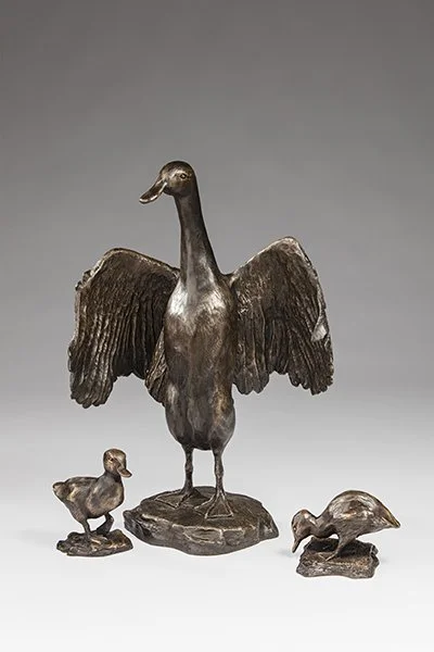Duck with ducklings – Kate Cledwyn_SML.jpg