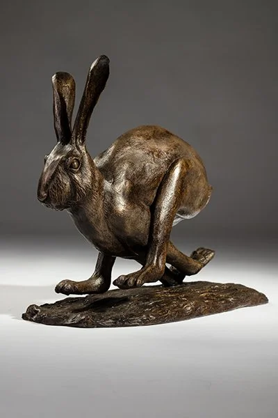 Hare – Kate Cledwyn_SML.jpg