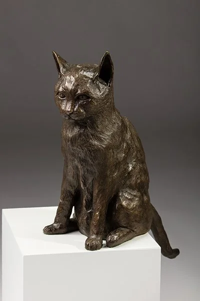 Cat – Kate Cledwyn_SML.jpg