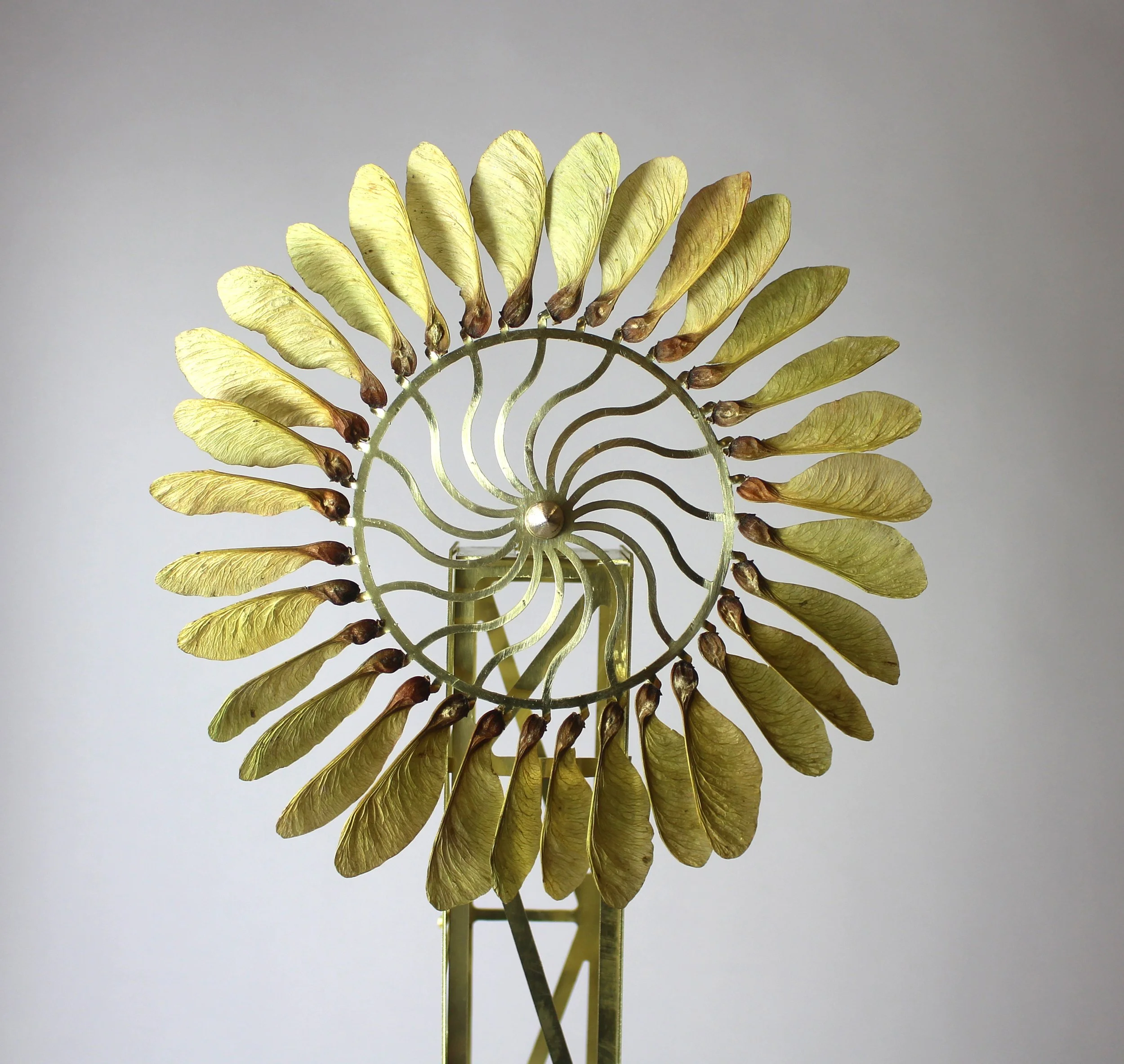 Sycamore Turbine