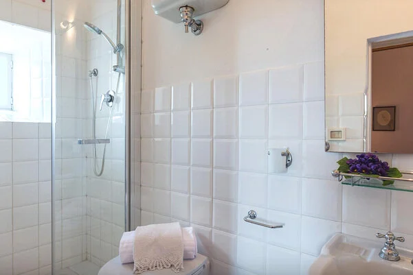 Pink Room en-suite shower room with view