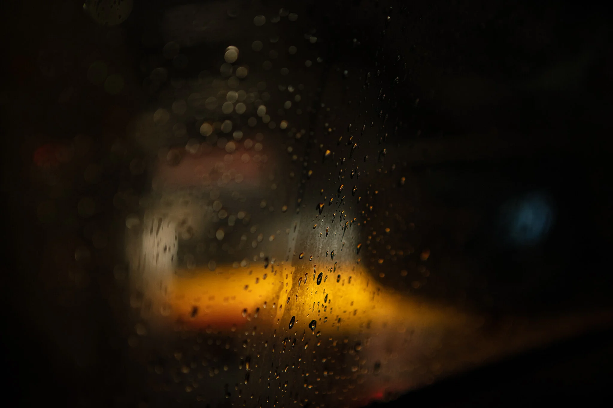 295A9262.jpg