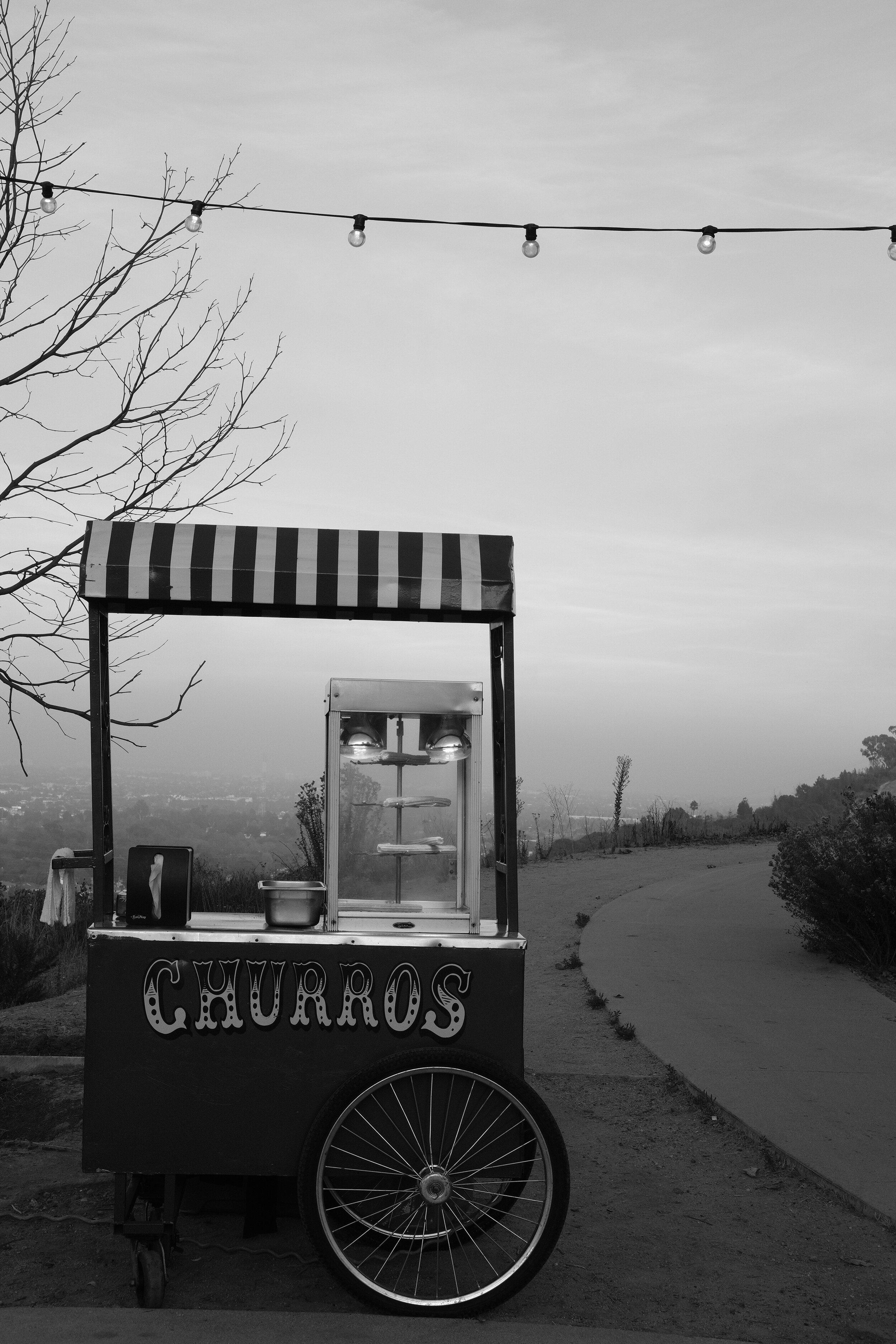 DSCF6241.jpg