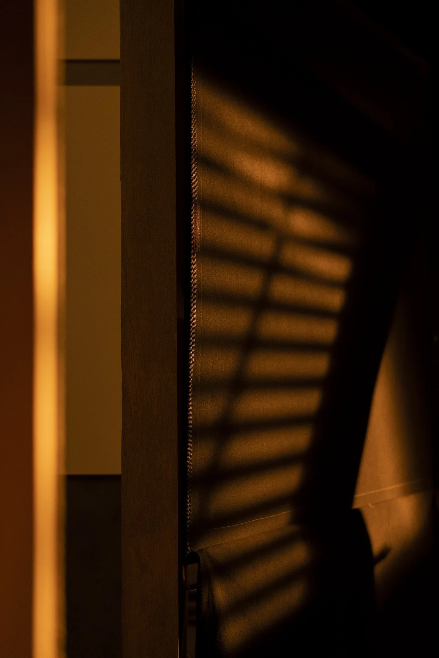 DSCF4669.jpg