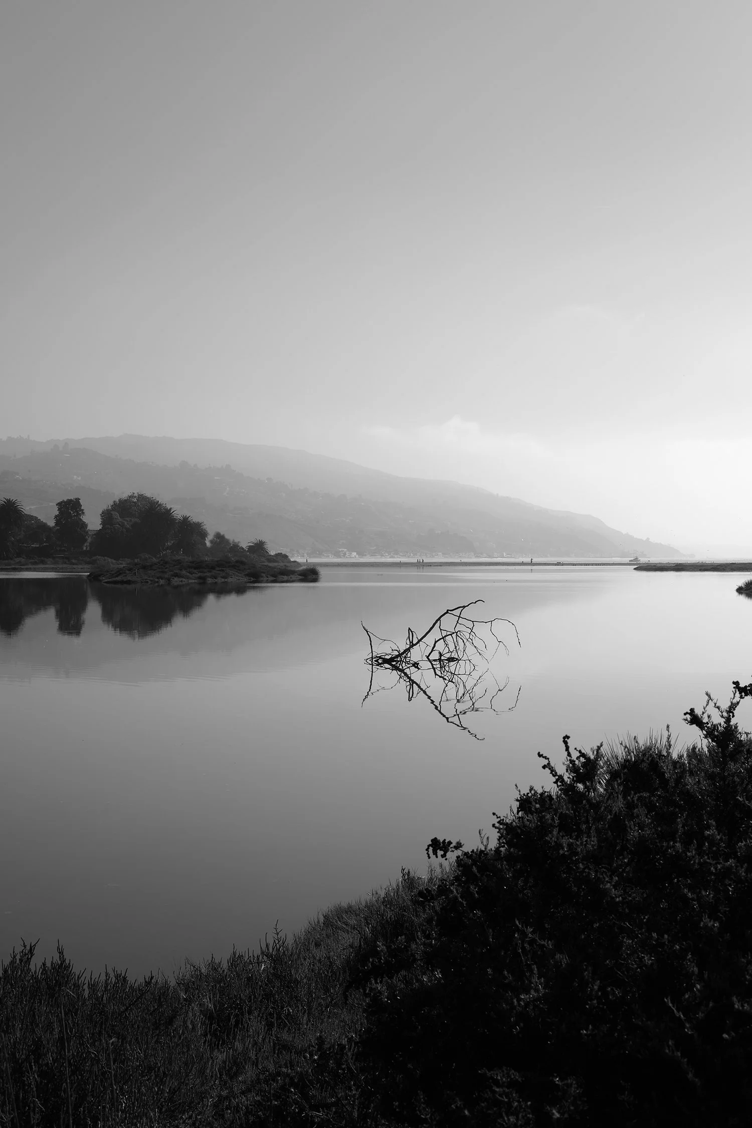 DSCF6068.jpg