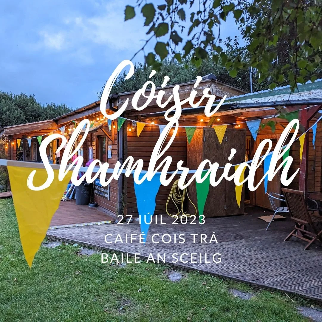 Cóisir Shamhraidh - Grianghraif agus Físeán