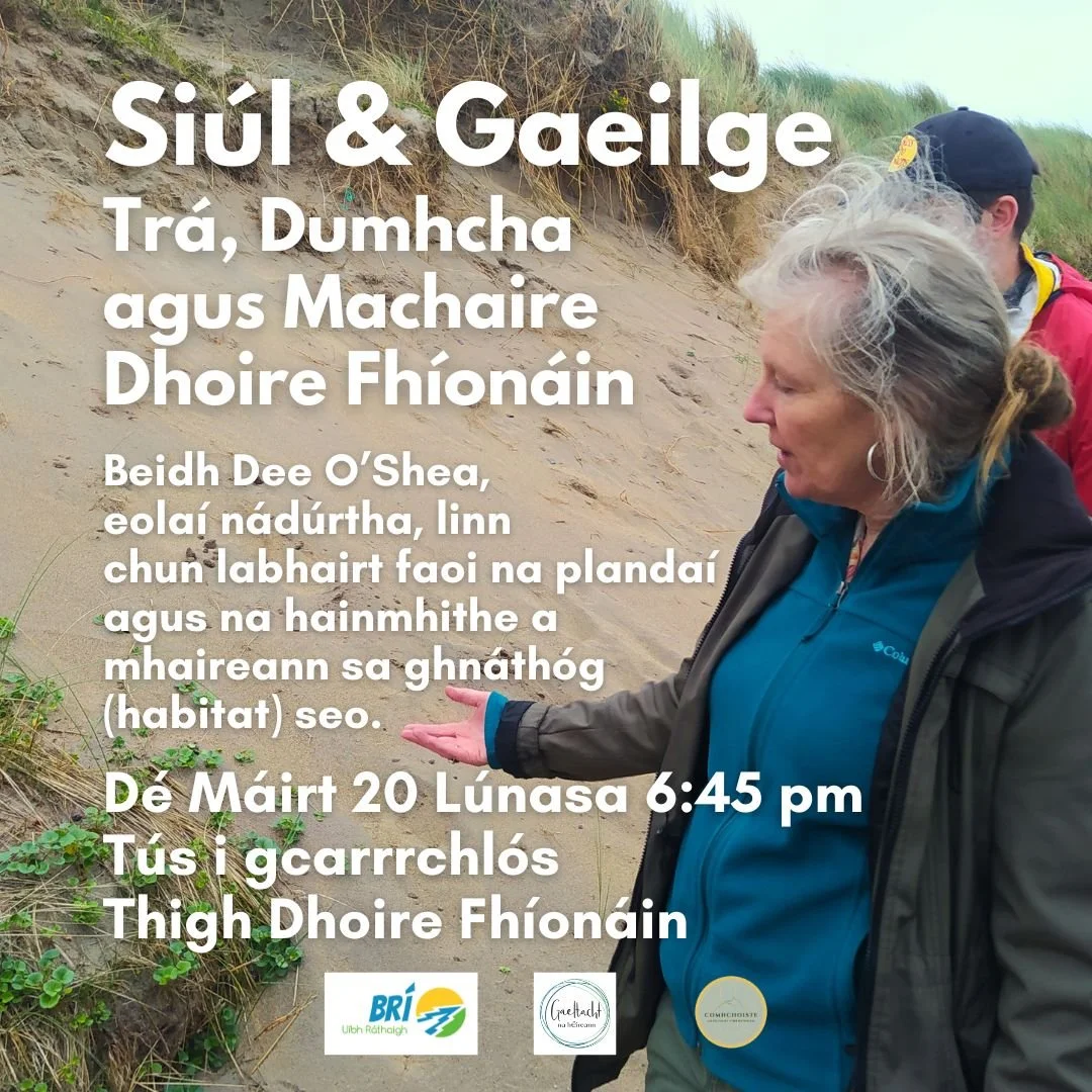 Siúl &amp; Gaeilge