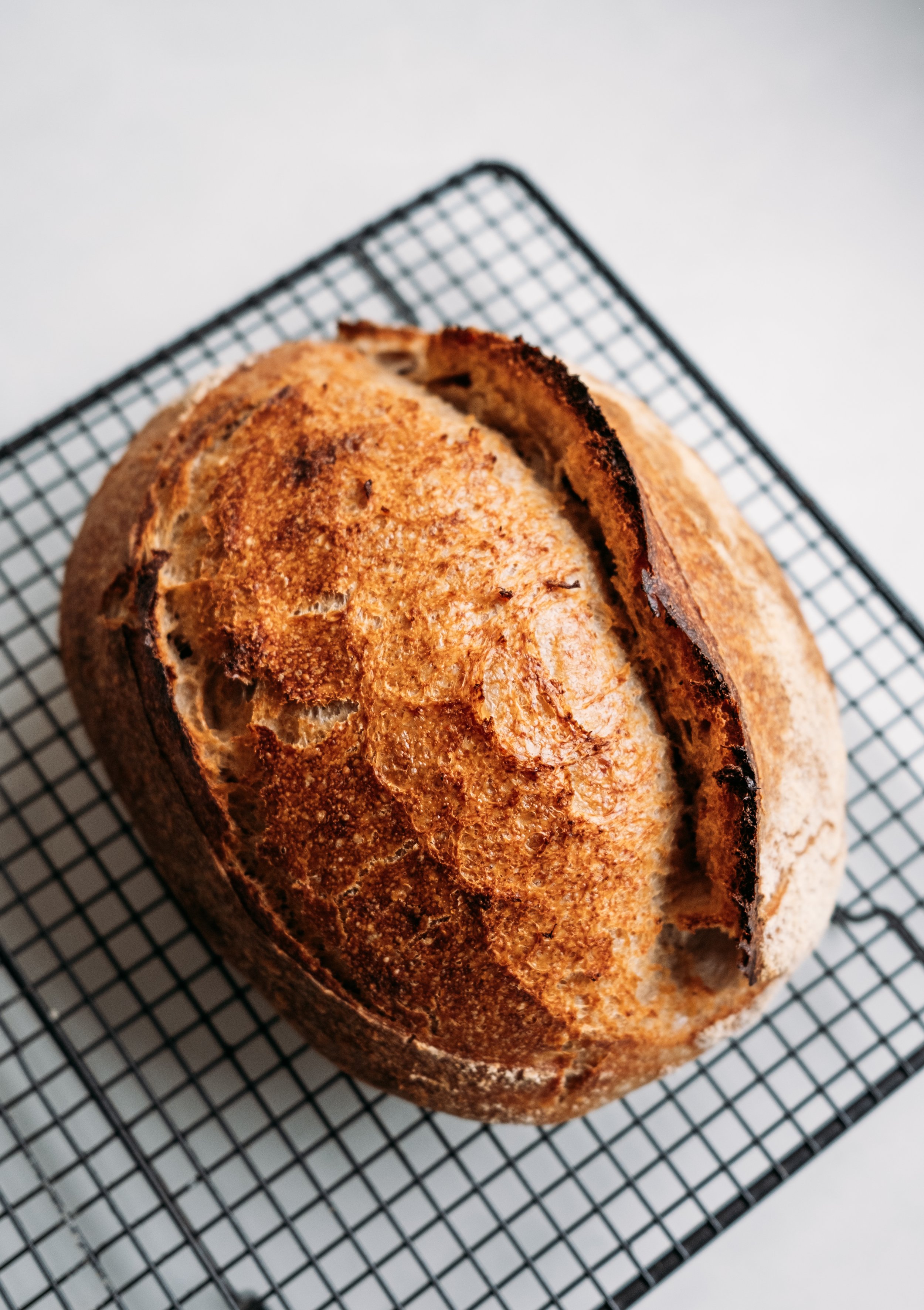 Basic Sourdough Bread Guide, How to make the perfect loaf at home. — Grant  Batty