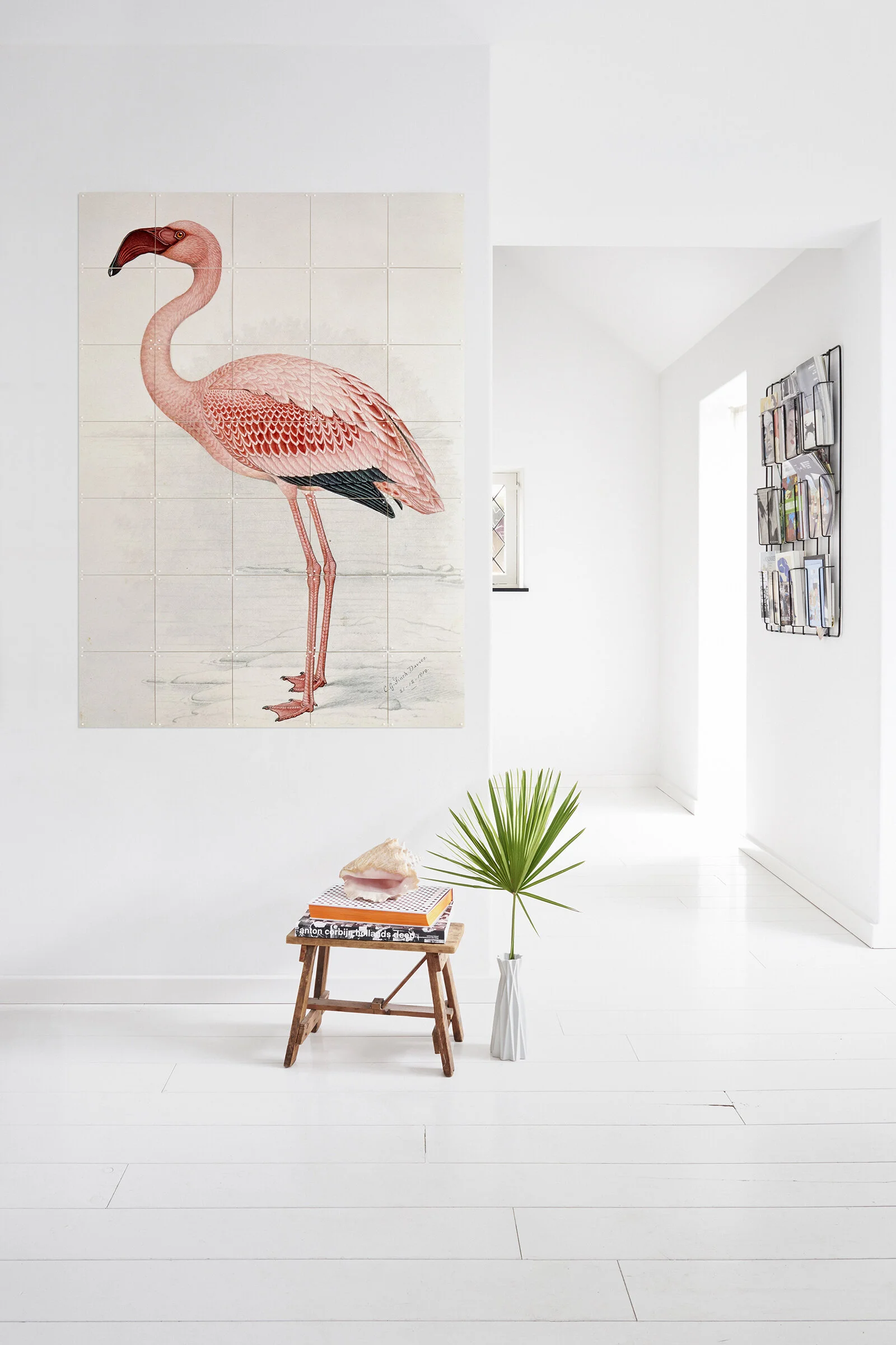 IXXI NHM Flamingo Davies.jpg