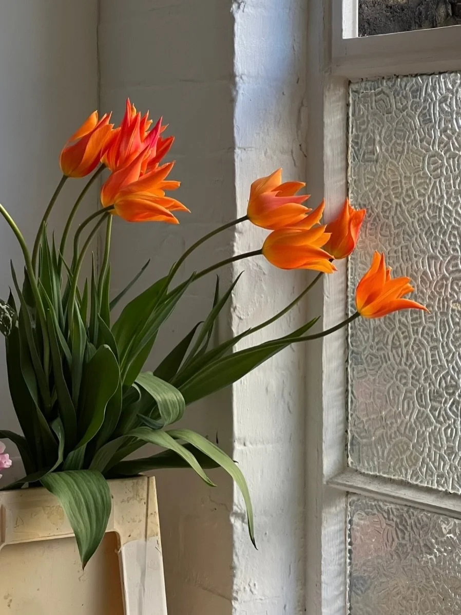 ⠀⠀⠀⠀⠀⠀⠀⠀⠀⠀⠀⠀⠀⠀⠀⠀⠀⠀⠀⠀⢠⣖⡀⢢⠀⠀⠀⠀
⠀⠀⠀⠀⠀⠀⠀⠀⠀⠀⠀⠀⠀⠀⠀⠀⠀⠀⠀⠀⠈⠛⠃⢨⠃⠀⠀⠀
⠀⠀⠀⠀⠀⠀⠀⠀⠀⠀⠀⠀⠀⠀⠀⠀⠀⠀⠀⠀⠀⠀⡠⠊⠀⠀⠀⠀
⠀⠀⠀⠀⠀⠀⠀⠀⠀⠀⠀⠀⠀⠀⠀⠀⠀⠀⠀⠀⡠⠊⢀⣀⣀⠀⠀⠀
⠀⠀⠀⠀⠀⠀⠀⠀⠀⠀⠀⠀⠀⠀⠀⠀⠀⠀⢠⢎⡰⠊⠉⠀⠉⠑⡆⠀
⠀⠀⠀⠀⠀⠀⠀⠀⠀⠀⠀⠀⢠⡞⡉⠑⡆⠀⡎⡌⠀⠀⢰⡾⠂⠀⡄⠀
⠀⠀⠀⠀⠀⠀⠀⠀⠀⠀⠀⠀⠘⠿⠇⢠⣏⡐⠓⢇⠀⡀⠈⡓⠒⠊⠀⠀
⠀⠀⠀⠀⠀⠀⠀⠀⠀⠀⠀⠀⠀⢀⡠⠼⣸⠀⠀⢸⠊⠀⠀⠰⠀⠀⠀⠀
⠀⠀⠀⠀⠀⠀⠀⠀⠀⢀⡠⠔⠒⢎⠀⠀⡘⠆