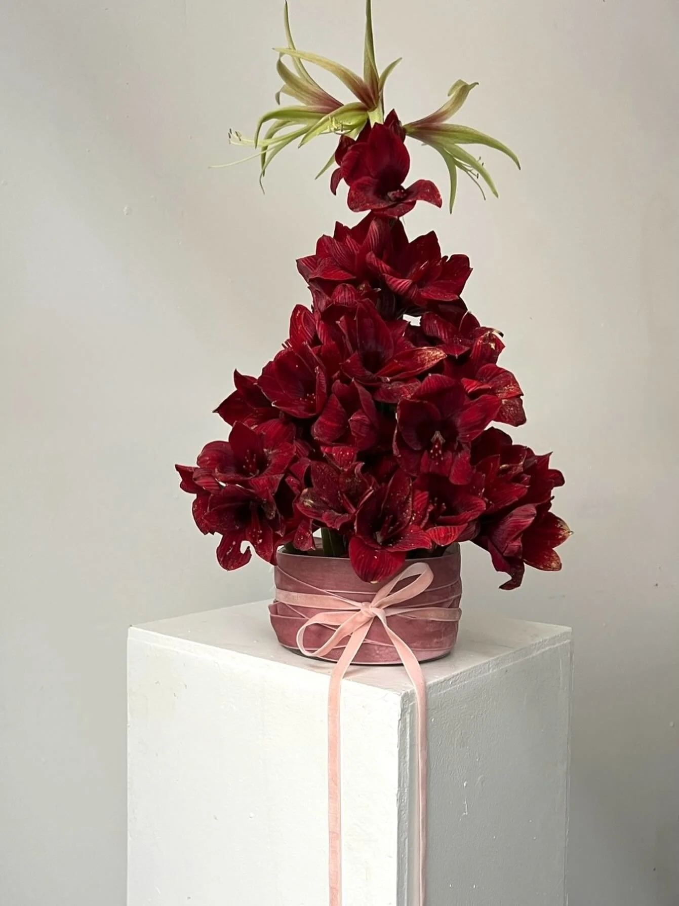 Merry Christmas every1. Sending you all lots of love. Thank you SO much for being here. Every single like, share and recommendation to a friend really means the world. 4eva grateful to be a smoll part of this flowery world&hellip;.. have a very good 