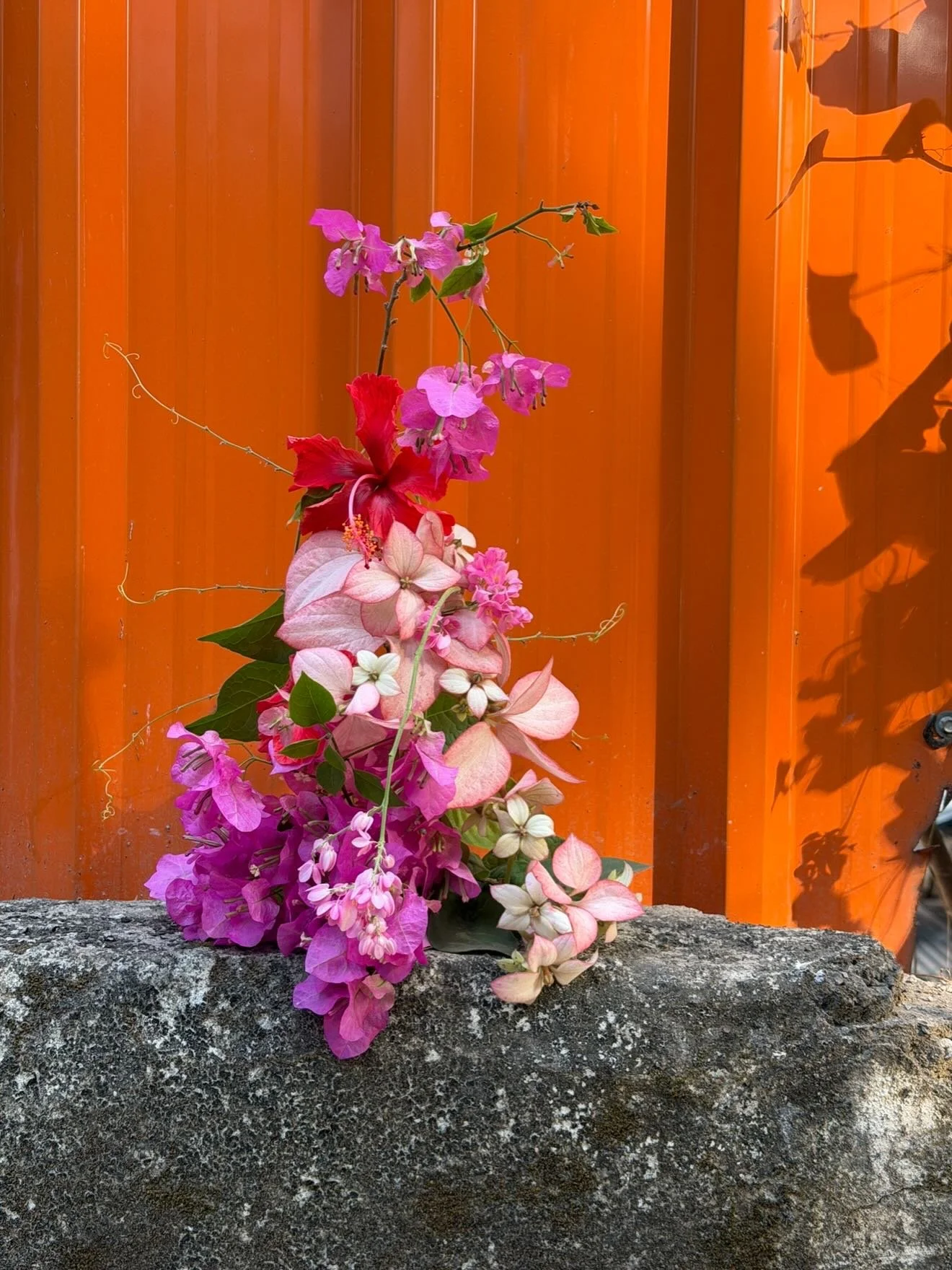A handful of stems for a little street-side forage in Mumbai.

Didn&rsquo;t take long before someone called over their florist mate to say hi &amp; show me their work. How cute. 🎀🌷🥺