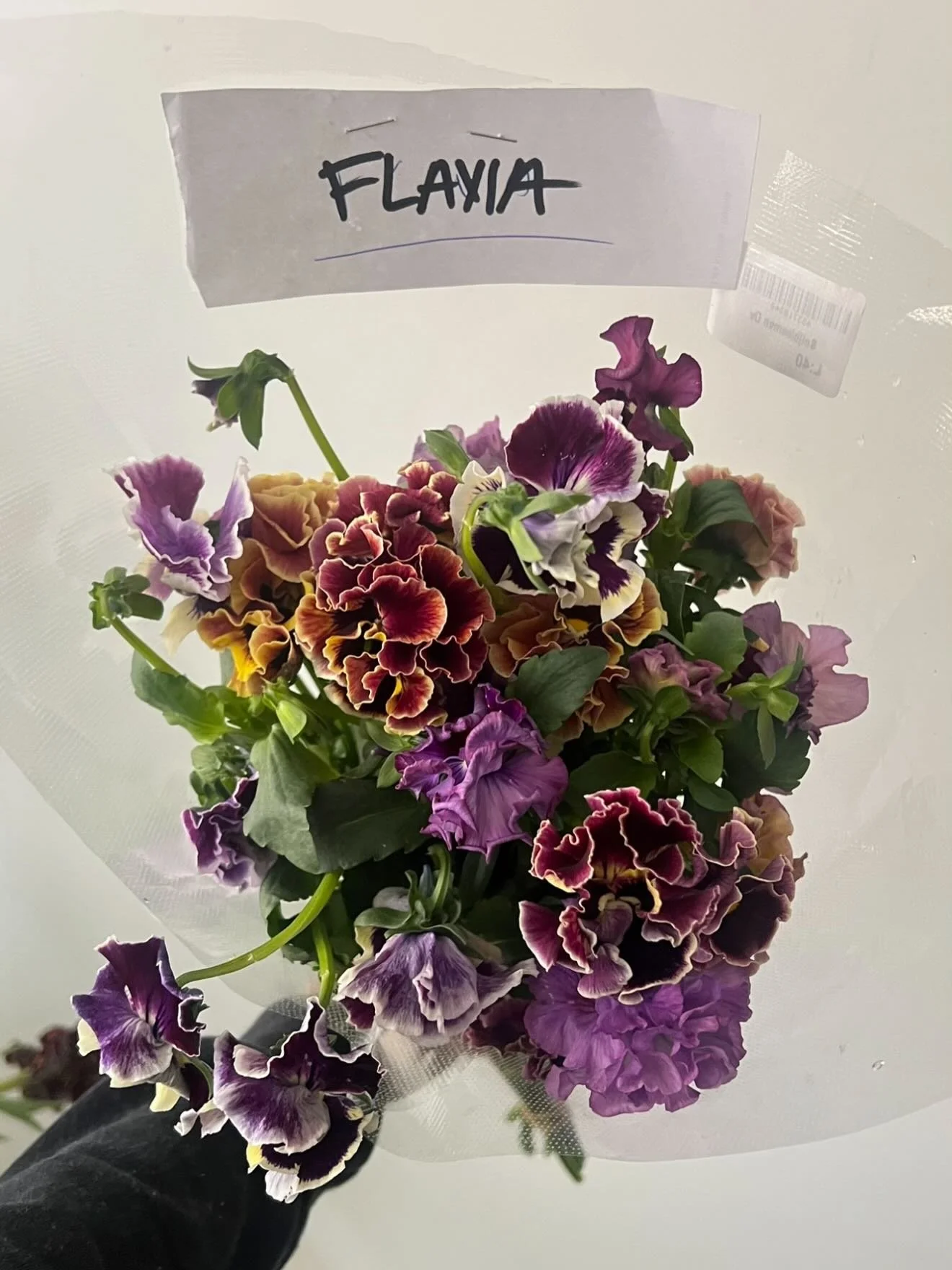 Pansies are back, how gorge.&hellip;used as a nod to @penhaligons fragrance notes, we included the little frilly babes for their launch dinner at Kensington roof gardens last spring.

Production @ashleelouisestudio 🤍💕💕