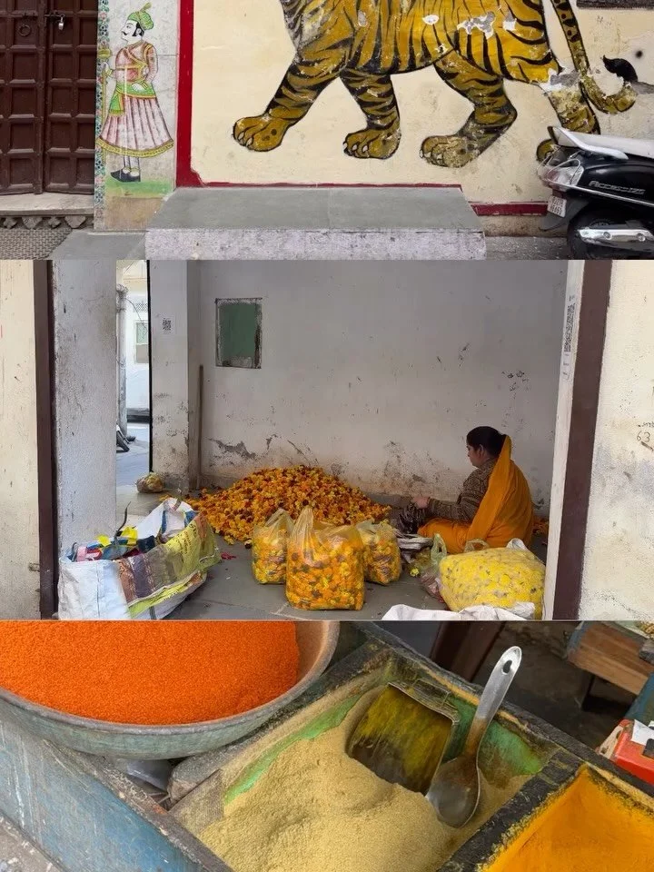 Scrapbooking our recent trip to India to keep me going through these rainy, grey dais 🤍🤍🌧️🌧️