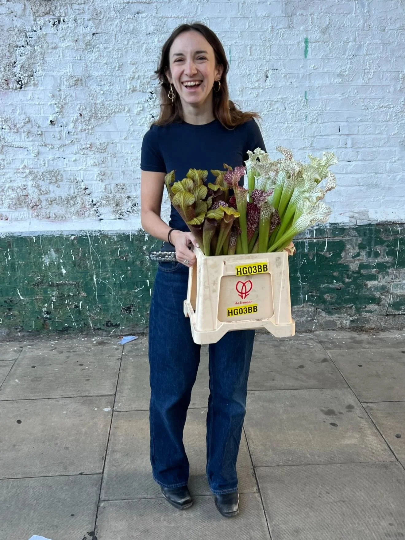 Gorgeous babe kikiiii w the gooods. Sarracenia leucophylla, is exactly who she thinks she is 💅🏻💅🏻💅🏻🤍🤍🤍🎀
