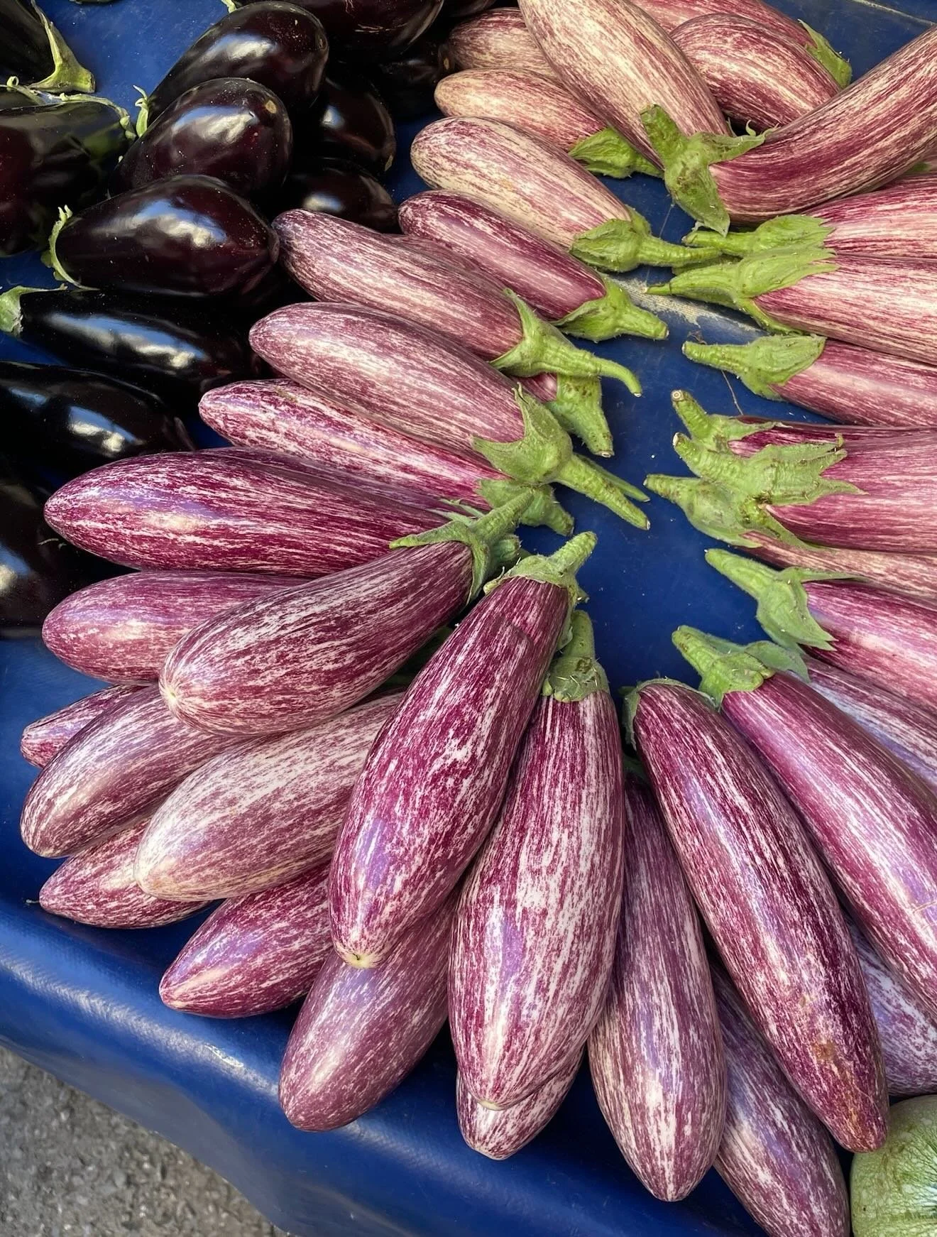 signs of spring ✨✨✨✨🤍

@ldncommunications 
@mavencommspr 
@theperfumeshop