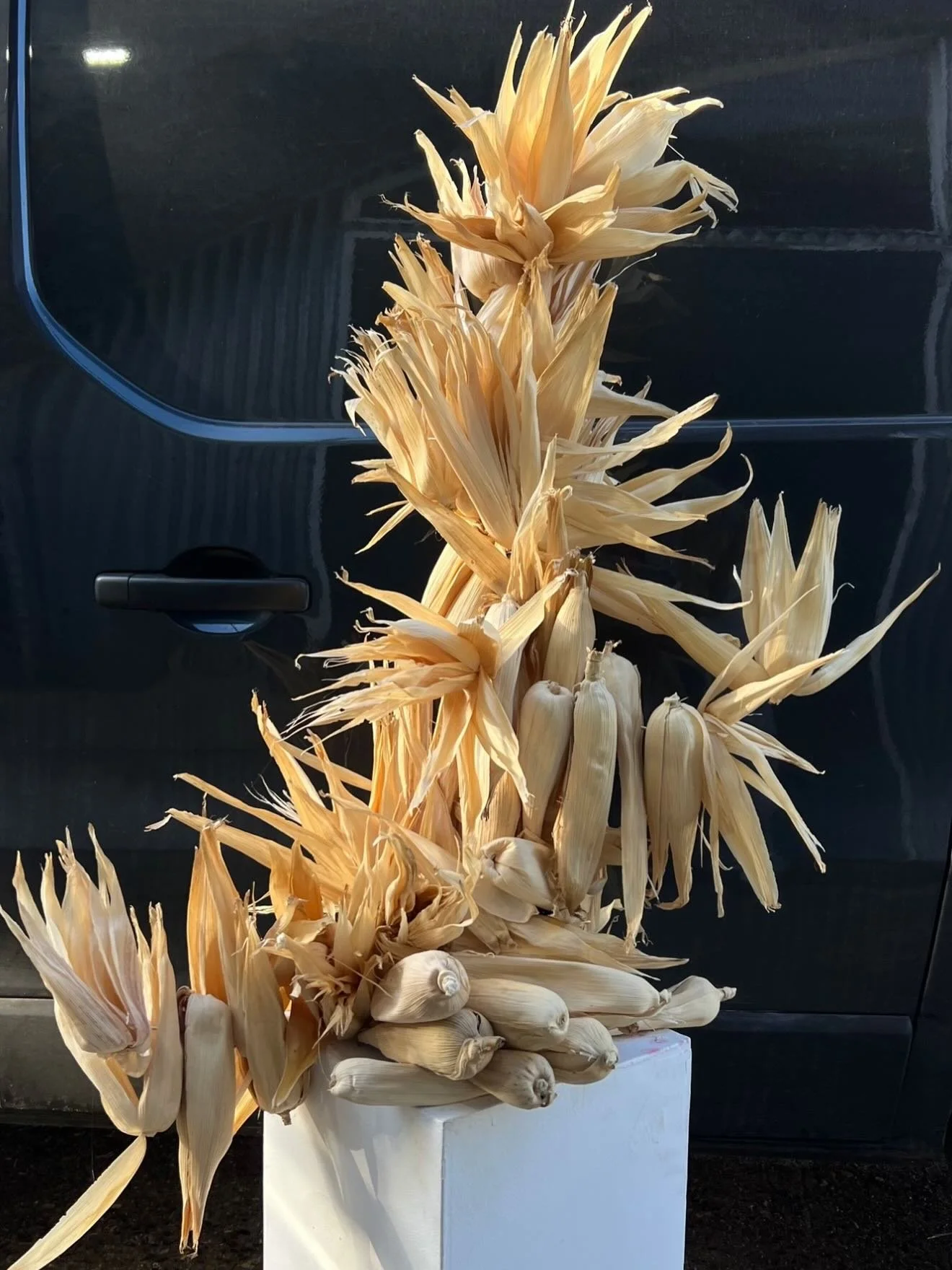 Corn husk sculptures for @sordo_madaleno late last year with @aguita__studio 🤍✨✨