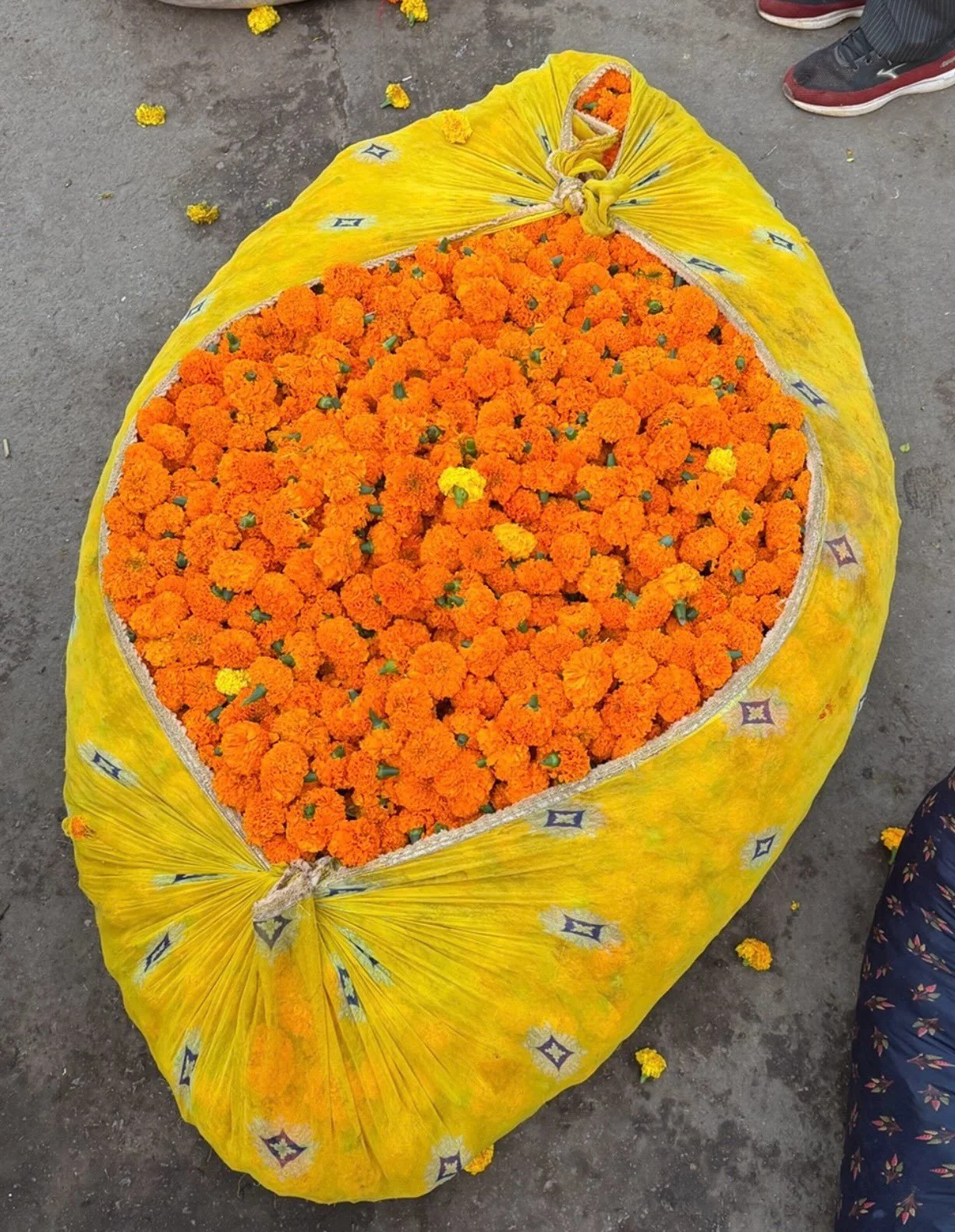 Beautiful India - flower market edition✨🇮🇳🪷🧡