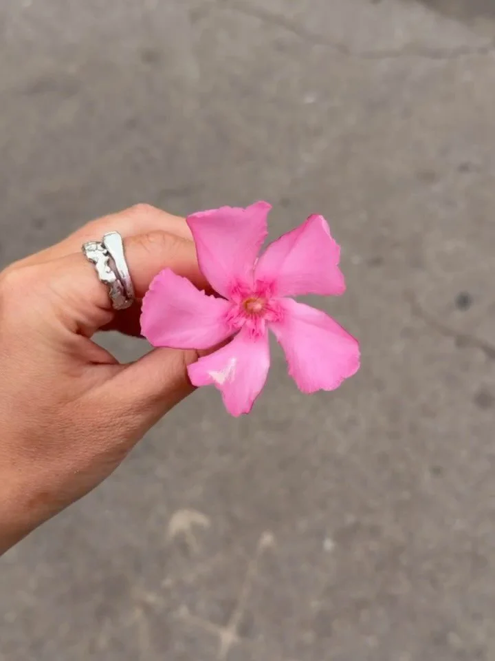 🤳🤳🤳🤳🌸🐚✨✨