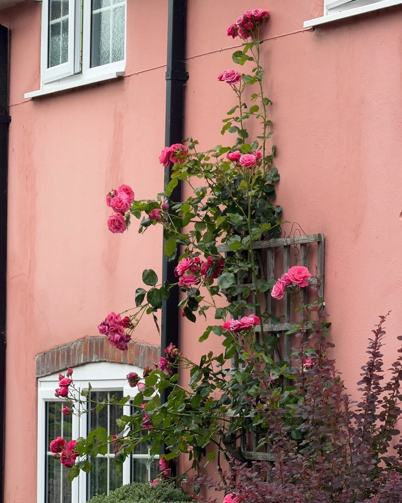 Feckkk I love this time of year. Endless things to do. Where the sun lays low and the shadows stretch beyond. Constantly finding myself struck by aweee at nature. The natural vibrant colours covering the streets. Cozy dinners and long nights laughing