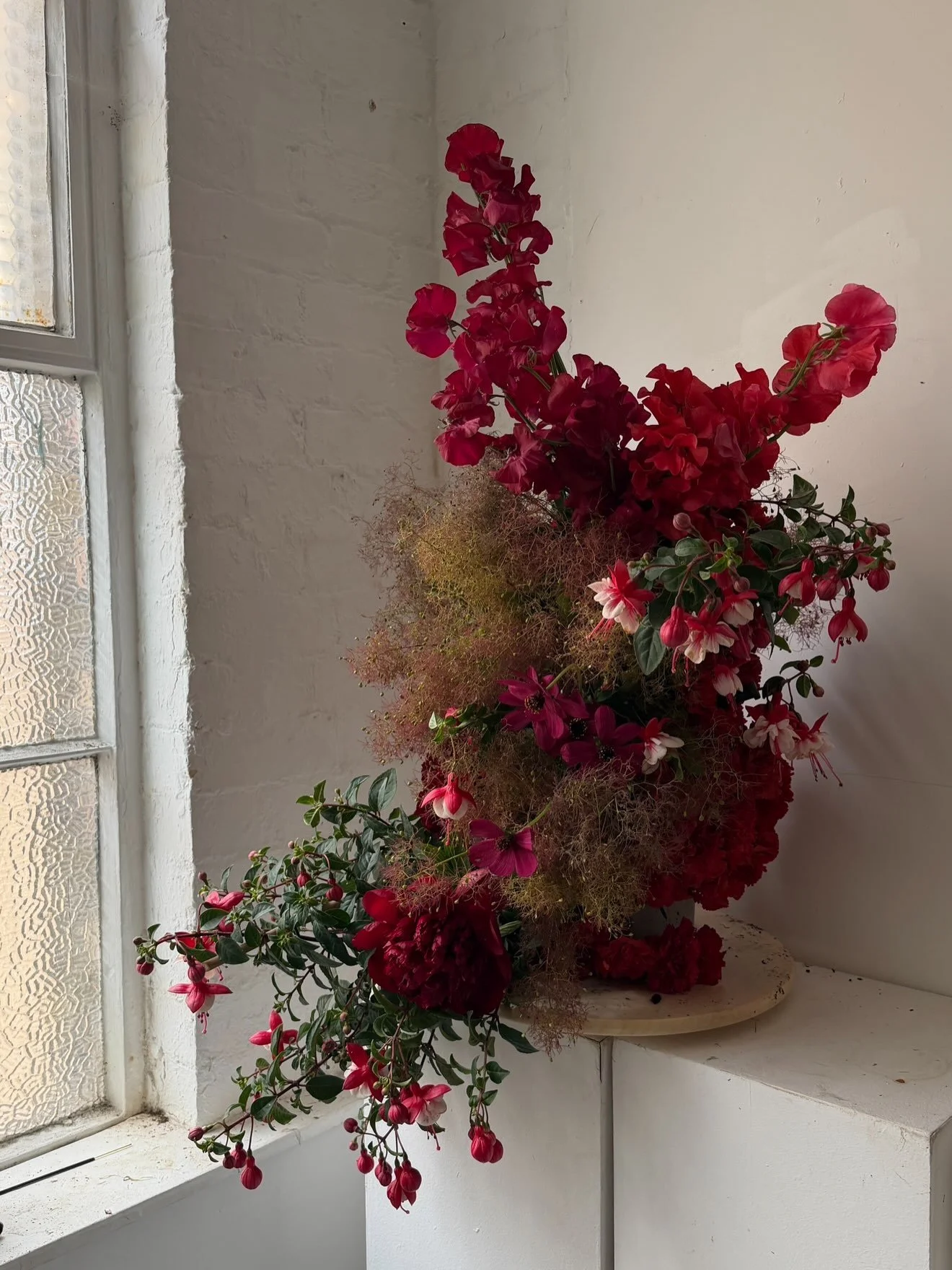 Fuchsia plants for @fuchsia.shaw back in May 💕💕❤️🎀🌹💋

Film pics @roden