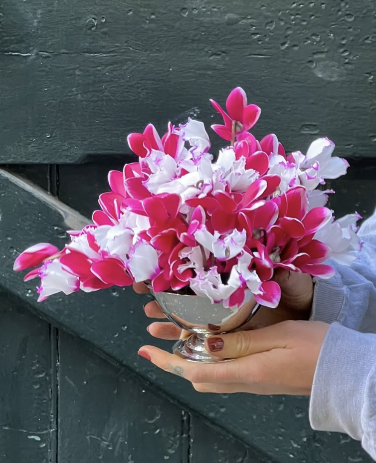 Screenshot 2025-11-03 at 16.44.15.png