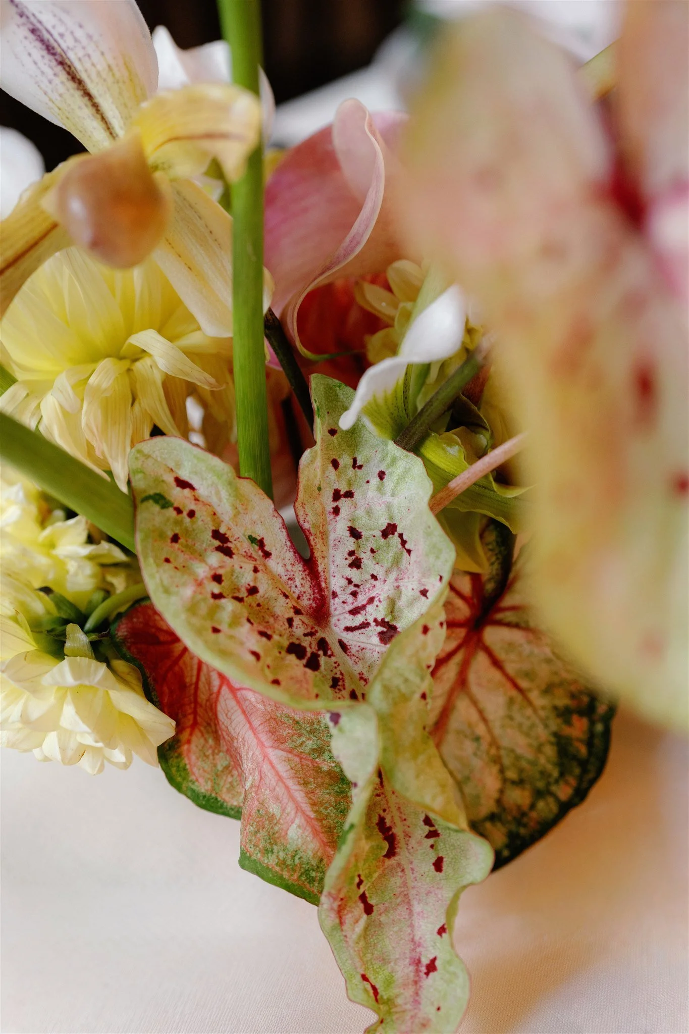 SKy and Jacob - day 01 - 068.JPG