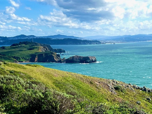 LOVE IS THE REVOLUTION