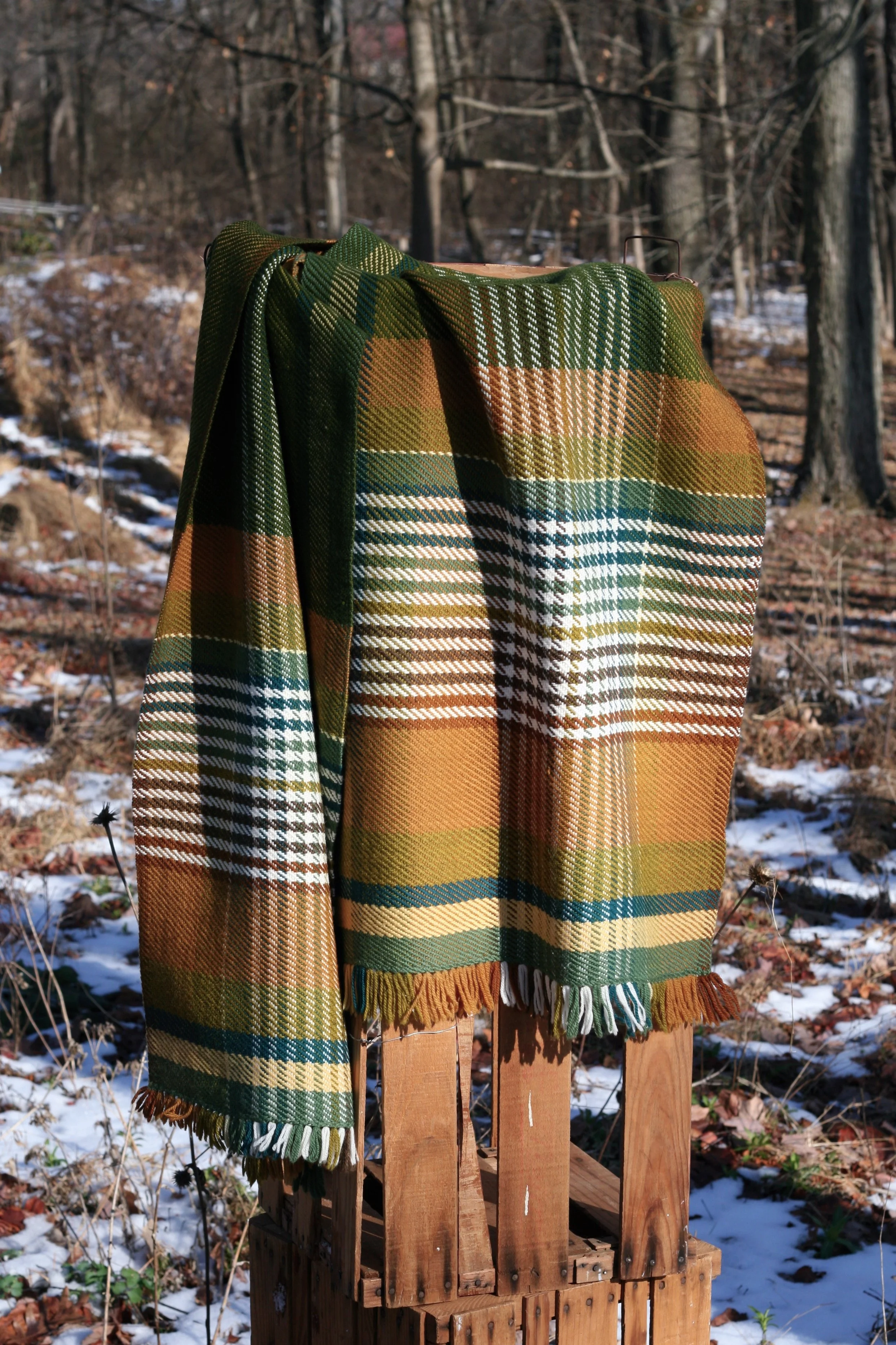 Website Update 12.24 9.jpg