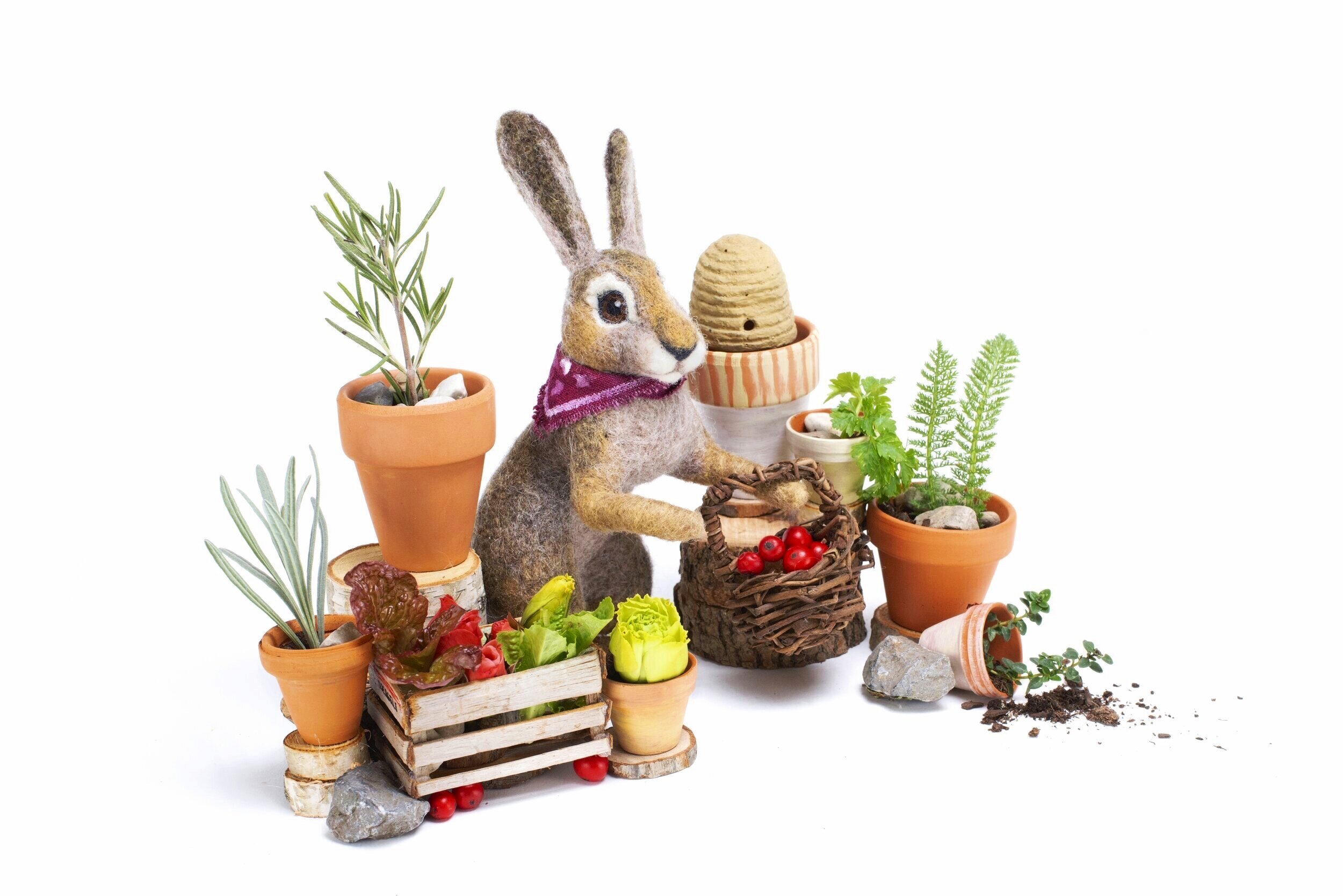 Gardener Rabbit