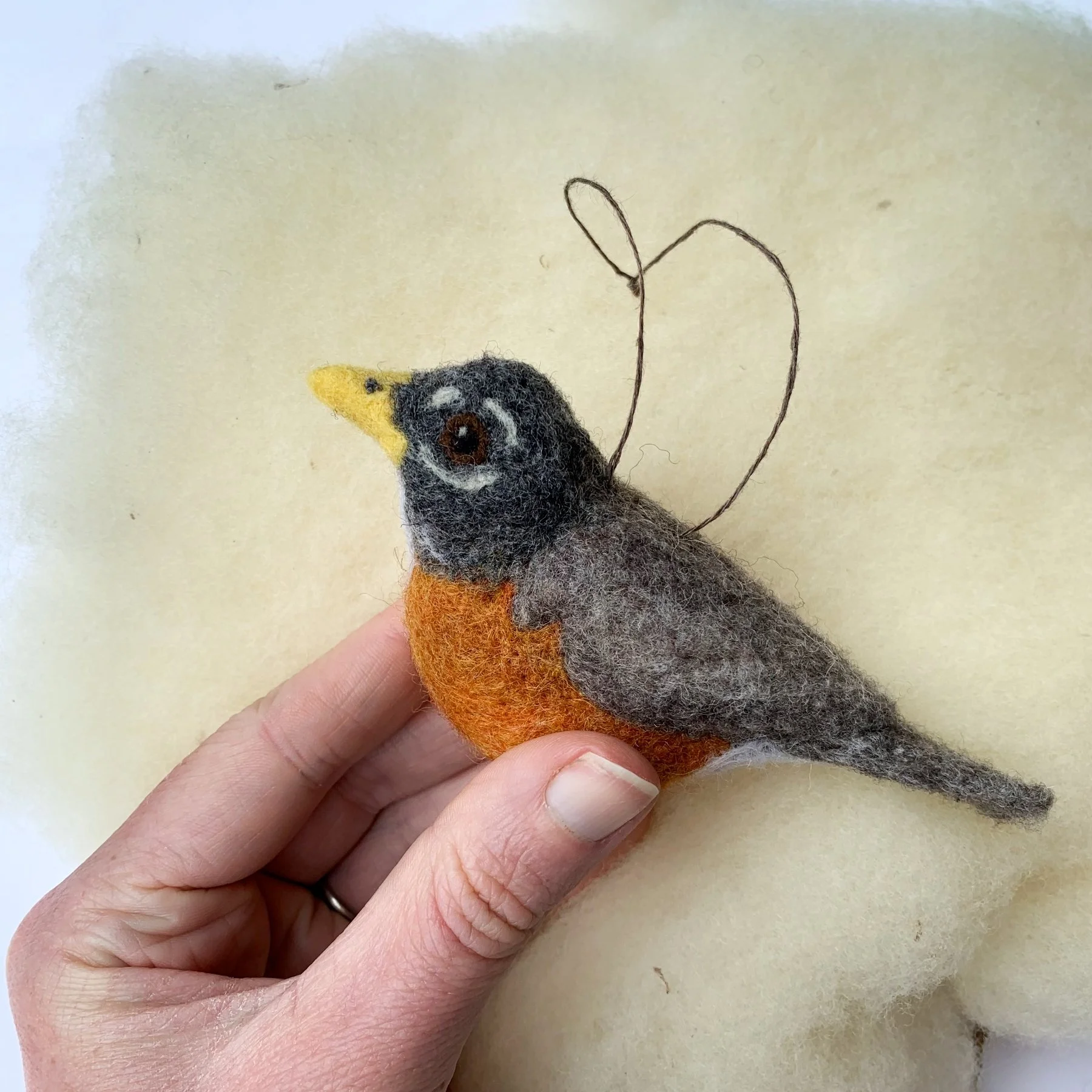 Bird of the Month American Robin