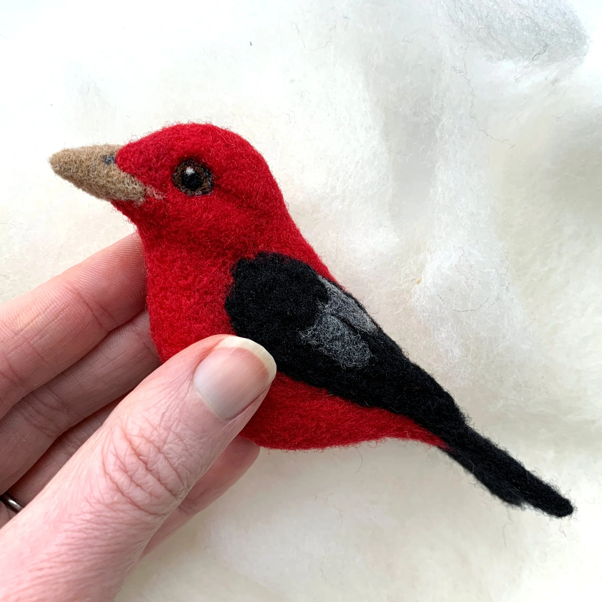 Bird of the Month Scarlet Tanager