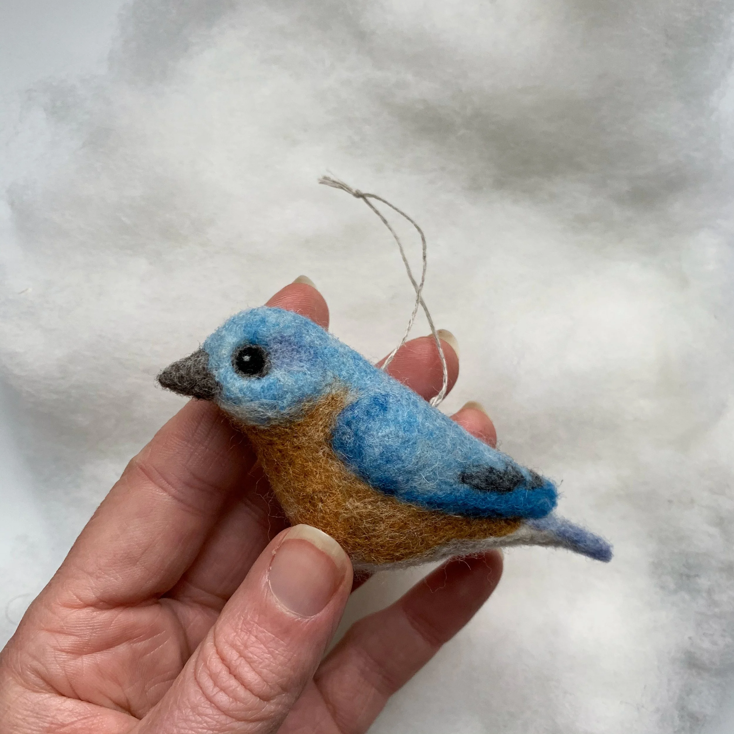 Bird of the Month Eastern Bluebird