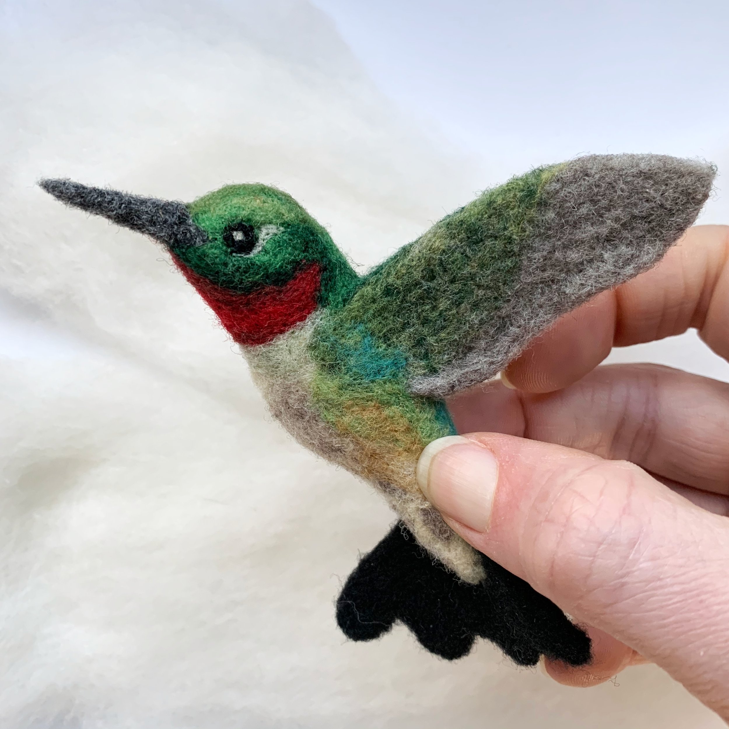 Bird of the Month Ruby-Throated Hummingbird