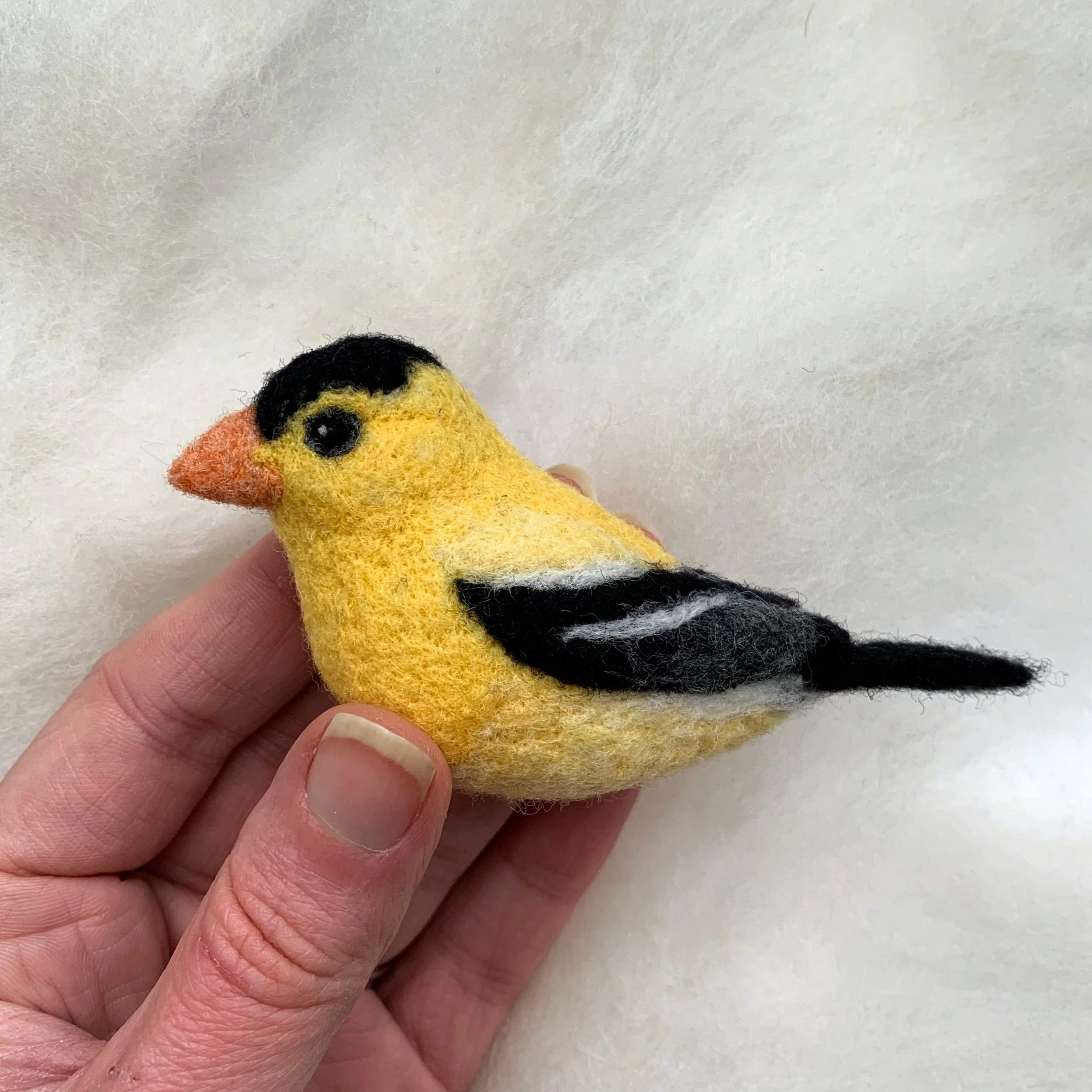 Bird of the Month American Goldfinch
