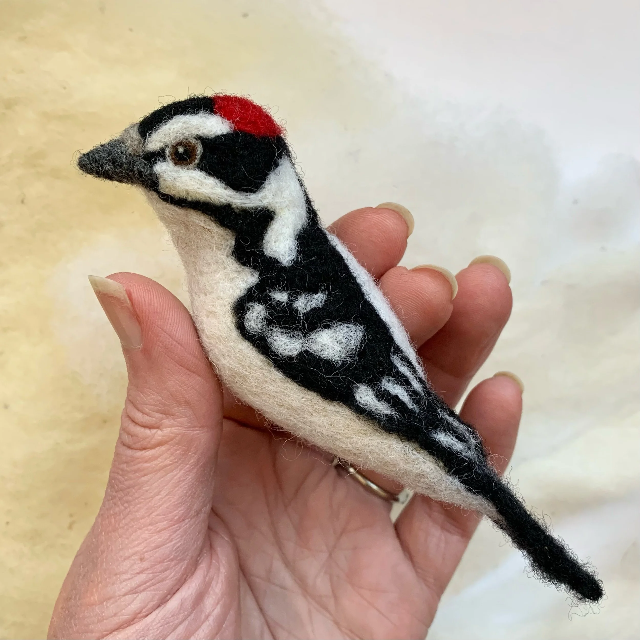 Bird of the Month Downy Woodpecker