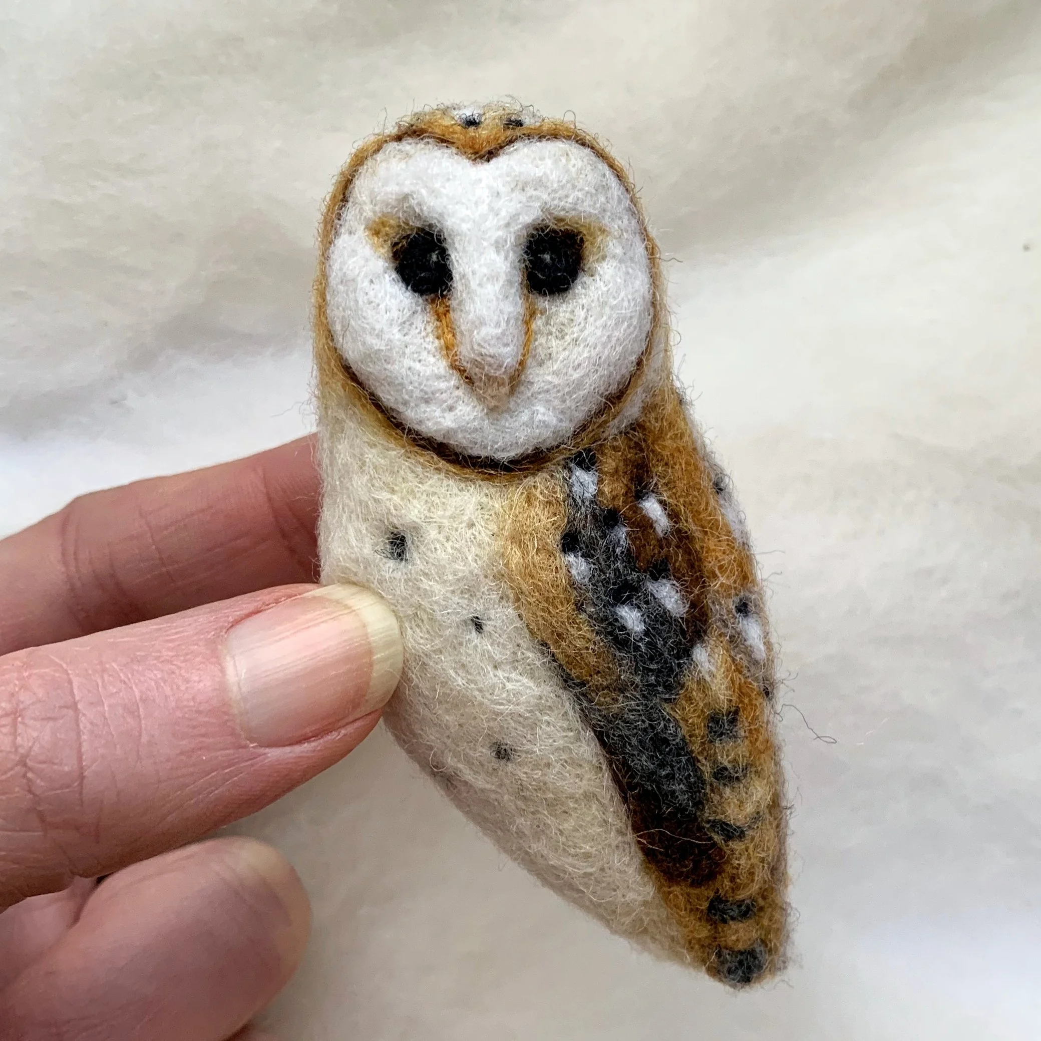 Bird of the Month Barn Owl