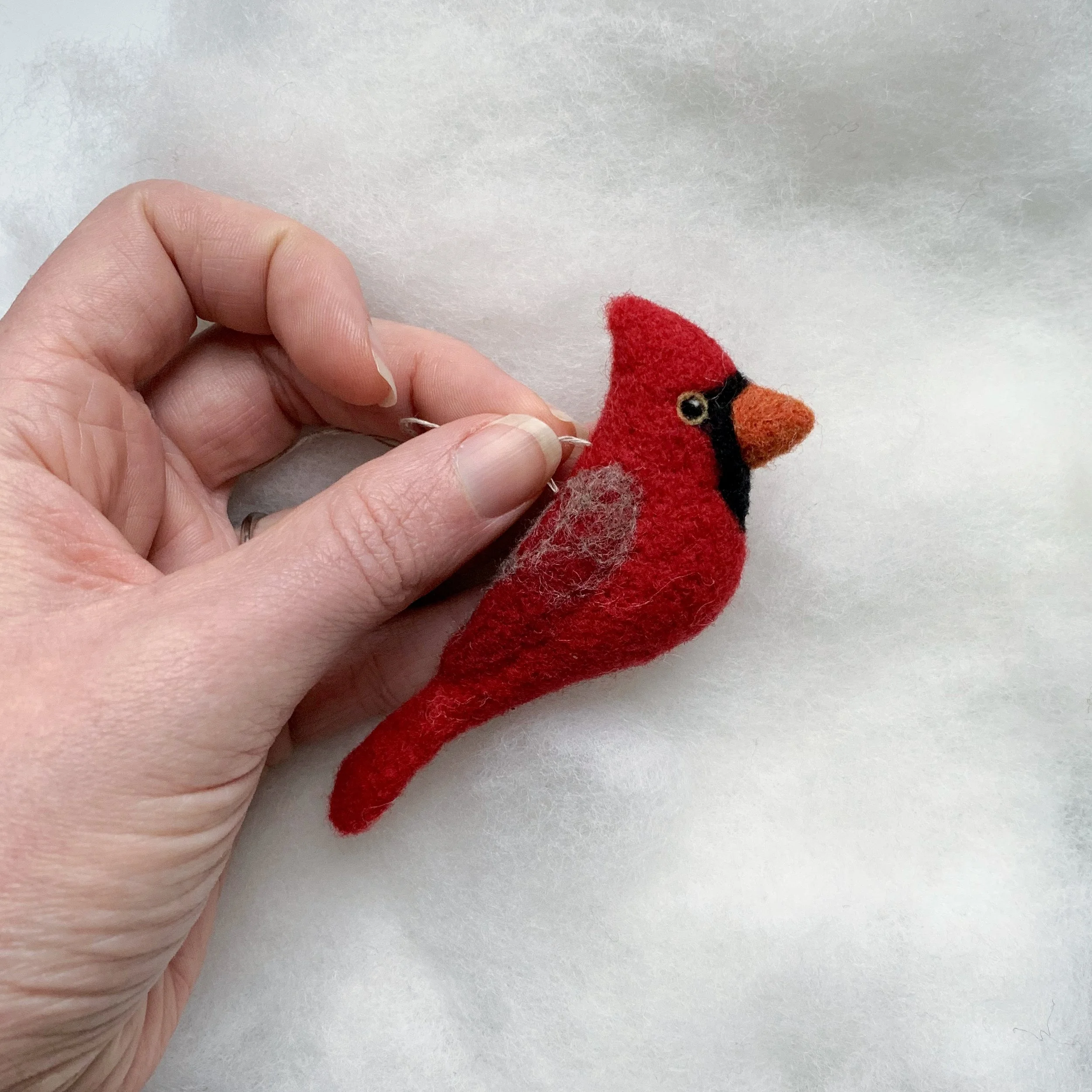 Bird of the Month Northern Cardinal
