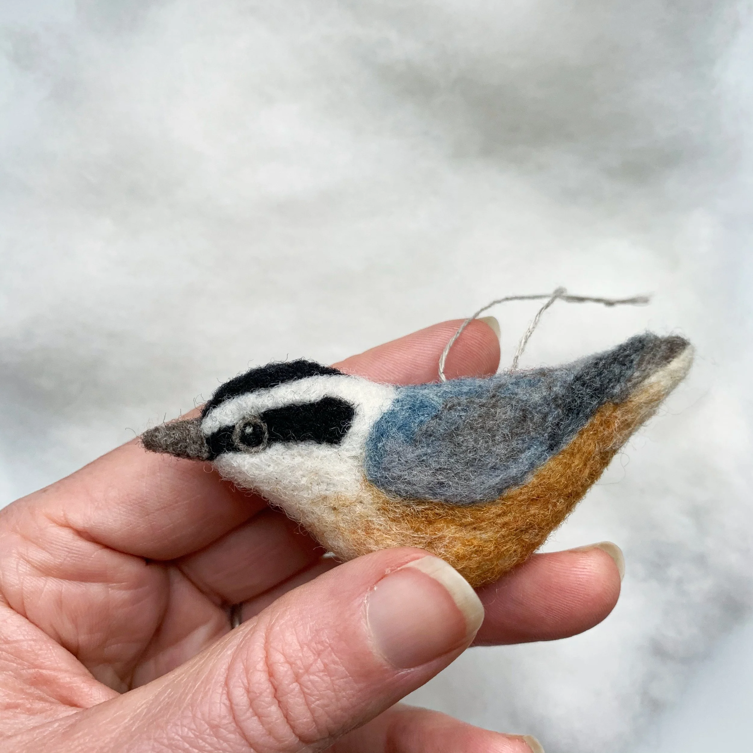 Bird of the Month Red Breasted Nuthatch