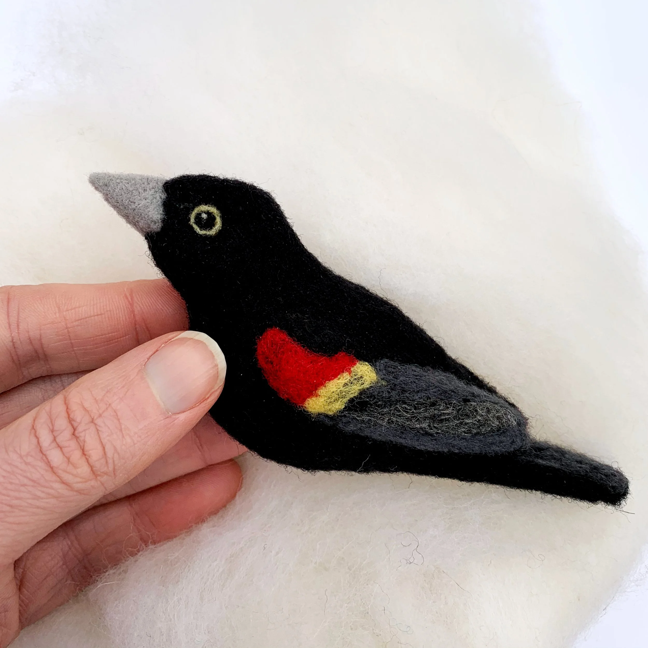 Bird of the Month Red Winged Blackbird