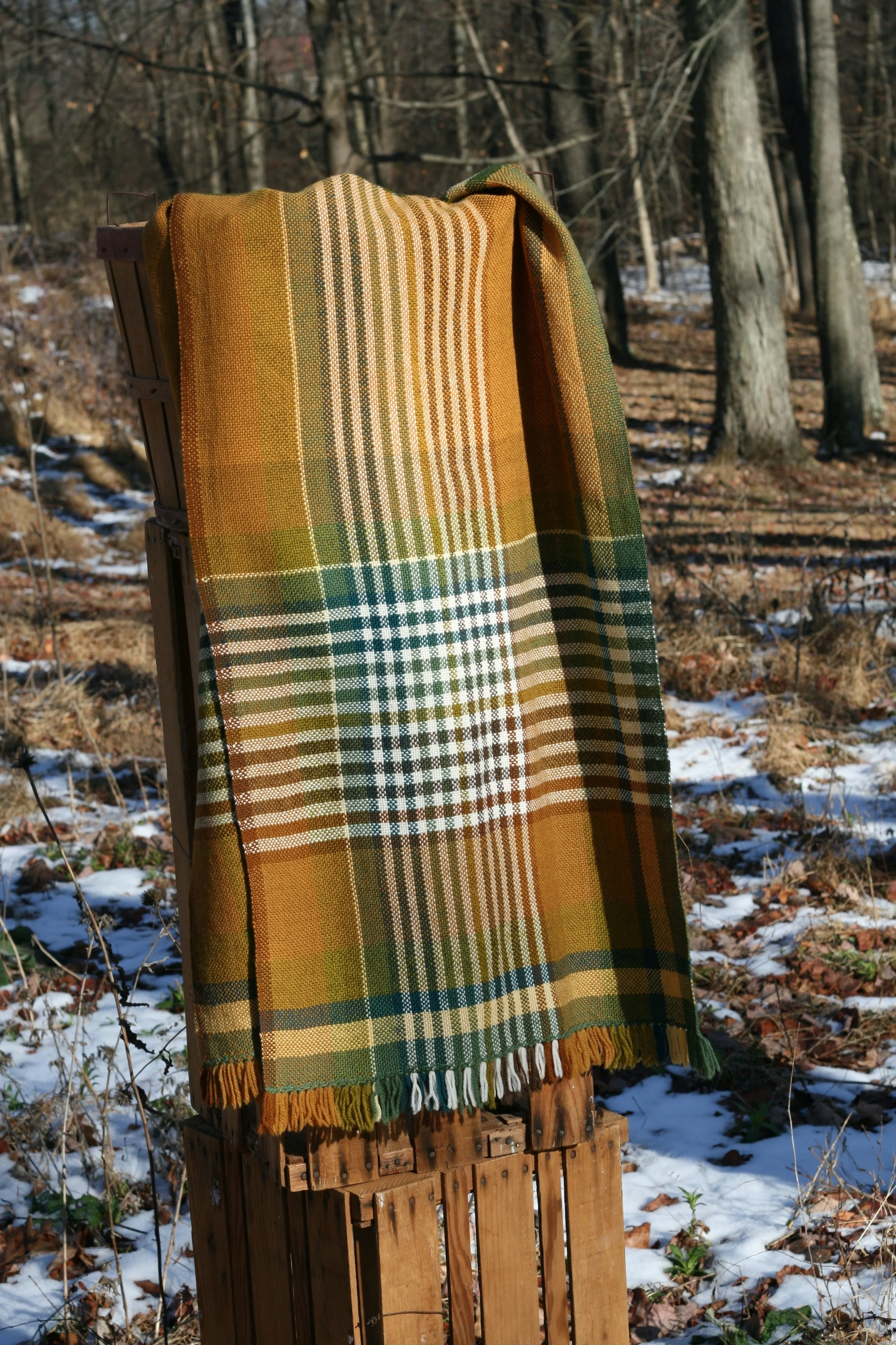 Website Update 12.24 12.jpg