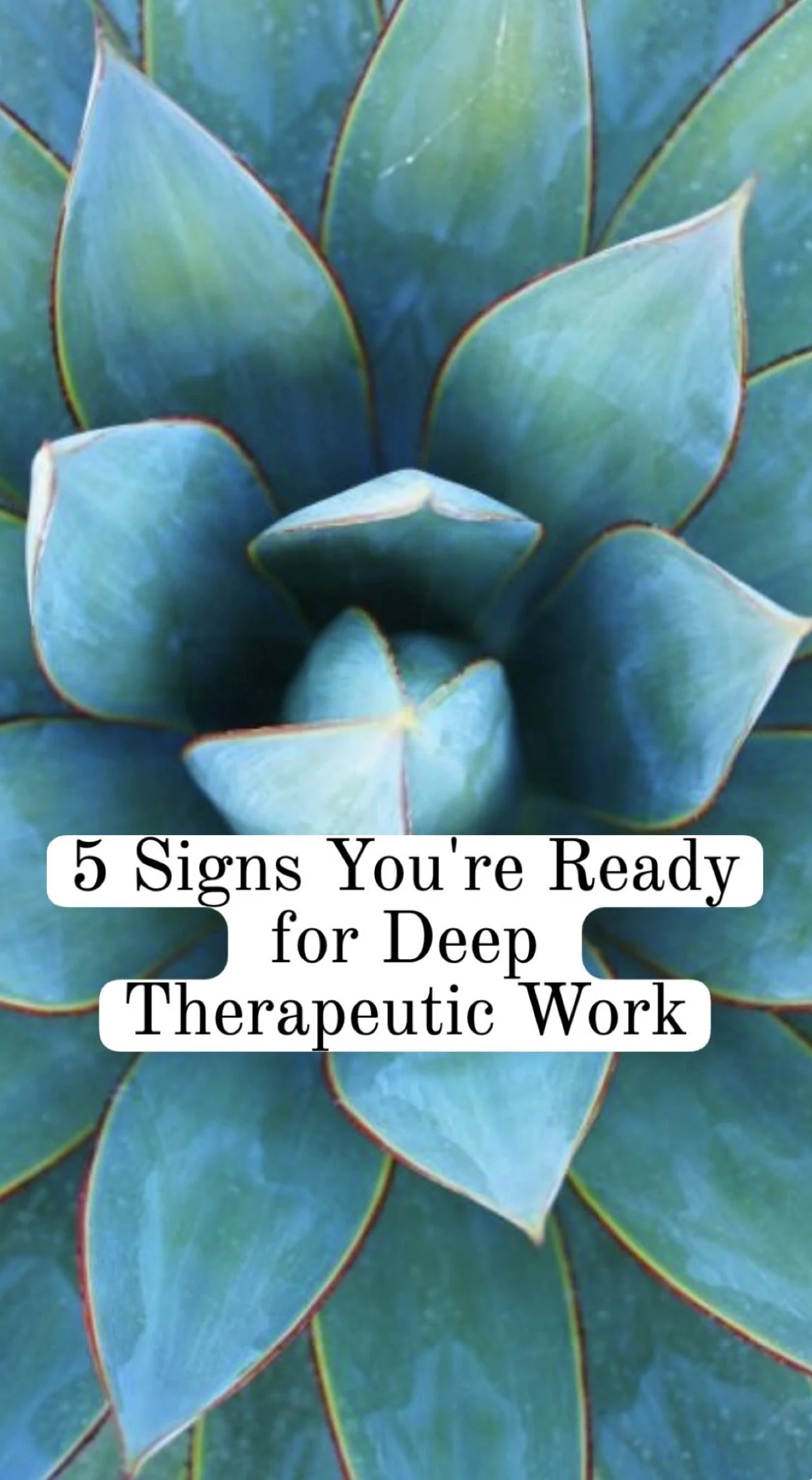 5 Signs You're Ready for Deep Therapeutic Work