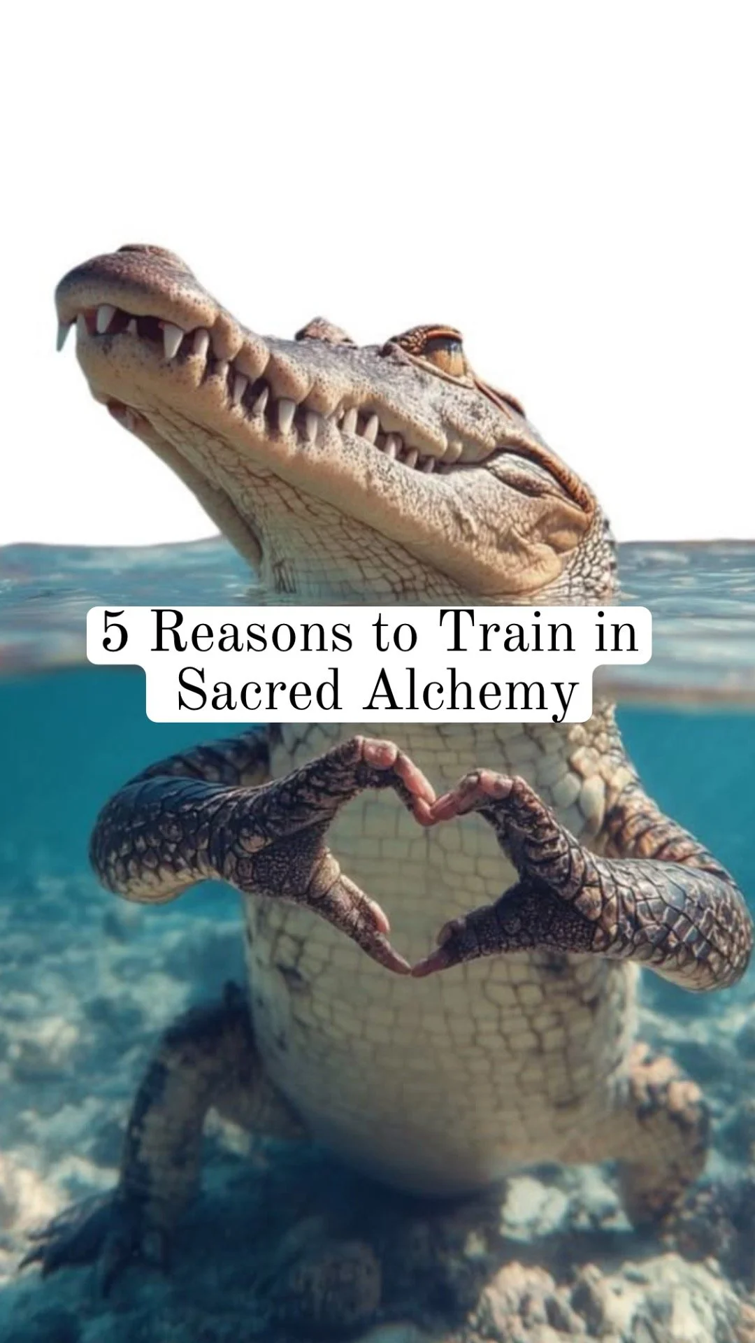 5 Reasons to Train in Sacred Alchemy