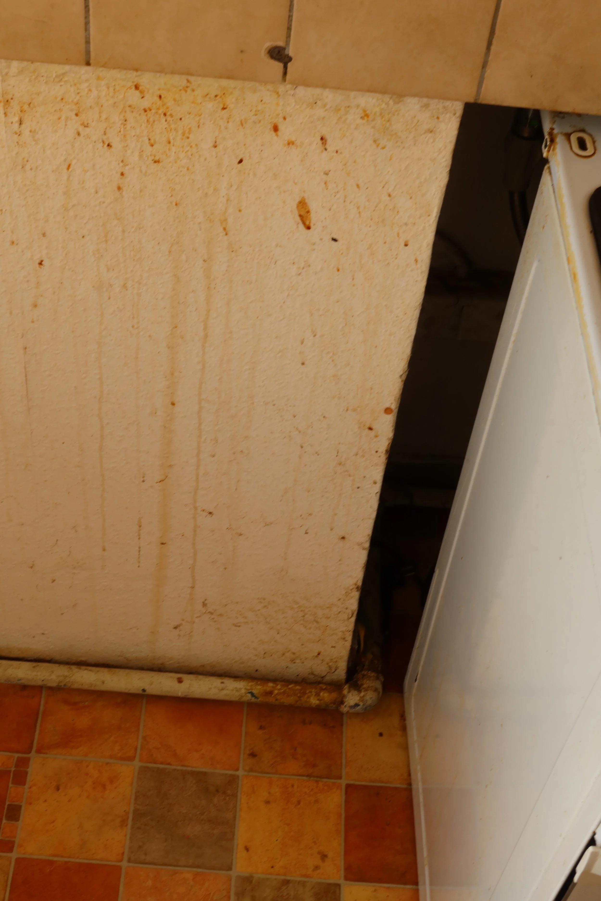 Healthy & Sustainable renovation in Berlin