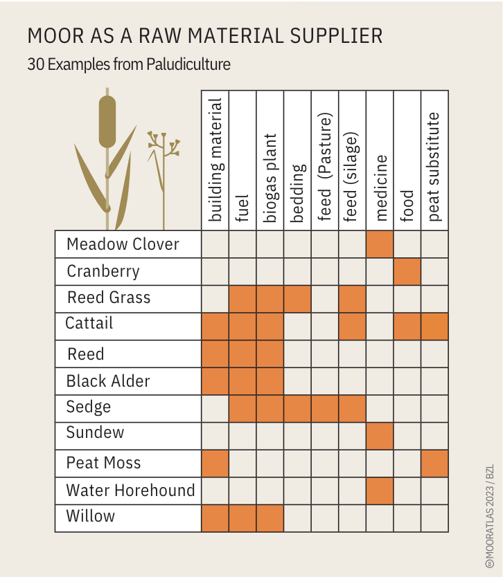 raw materials from the moor.png
